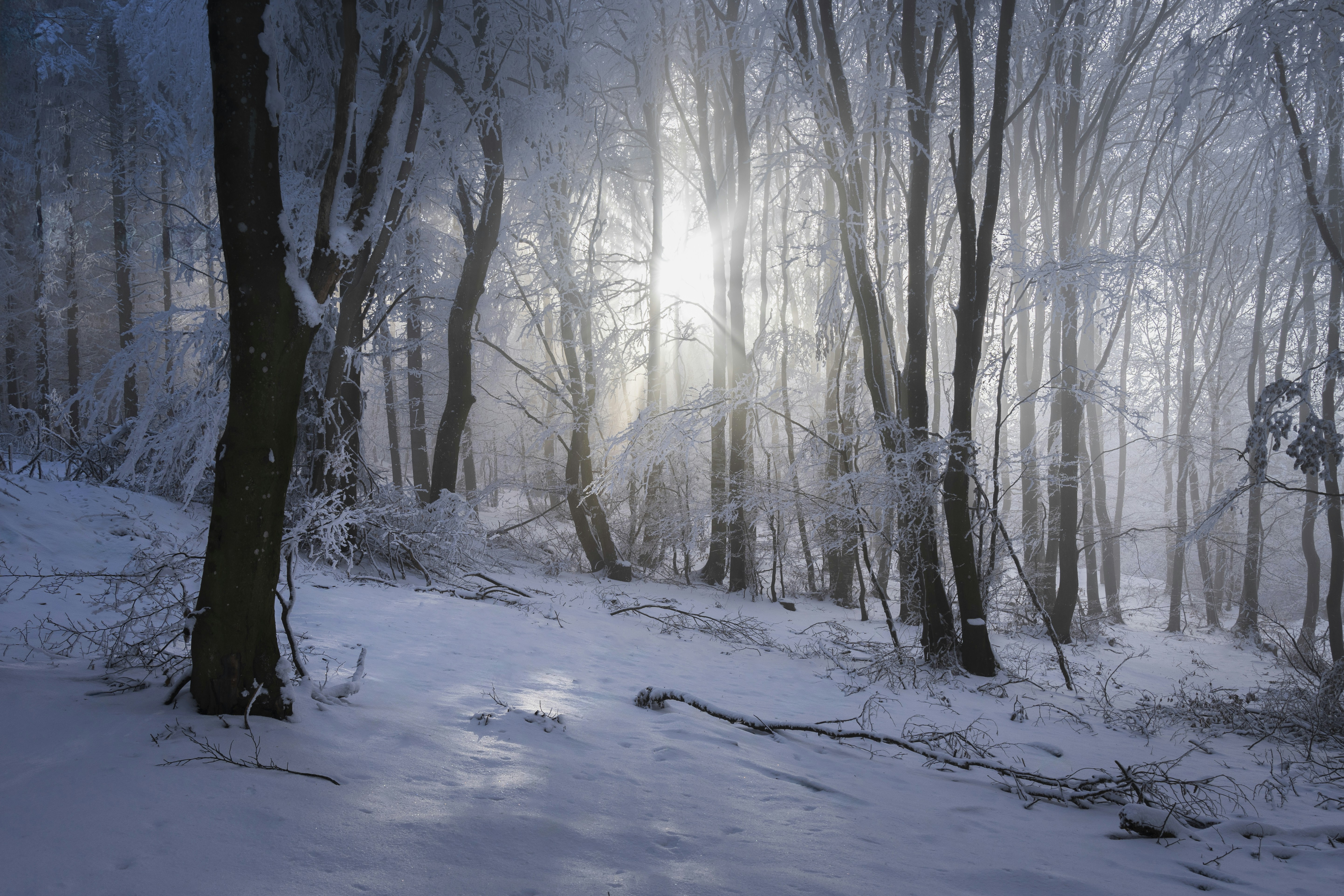 Photo by le_sixieme_reve