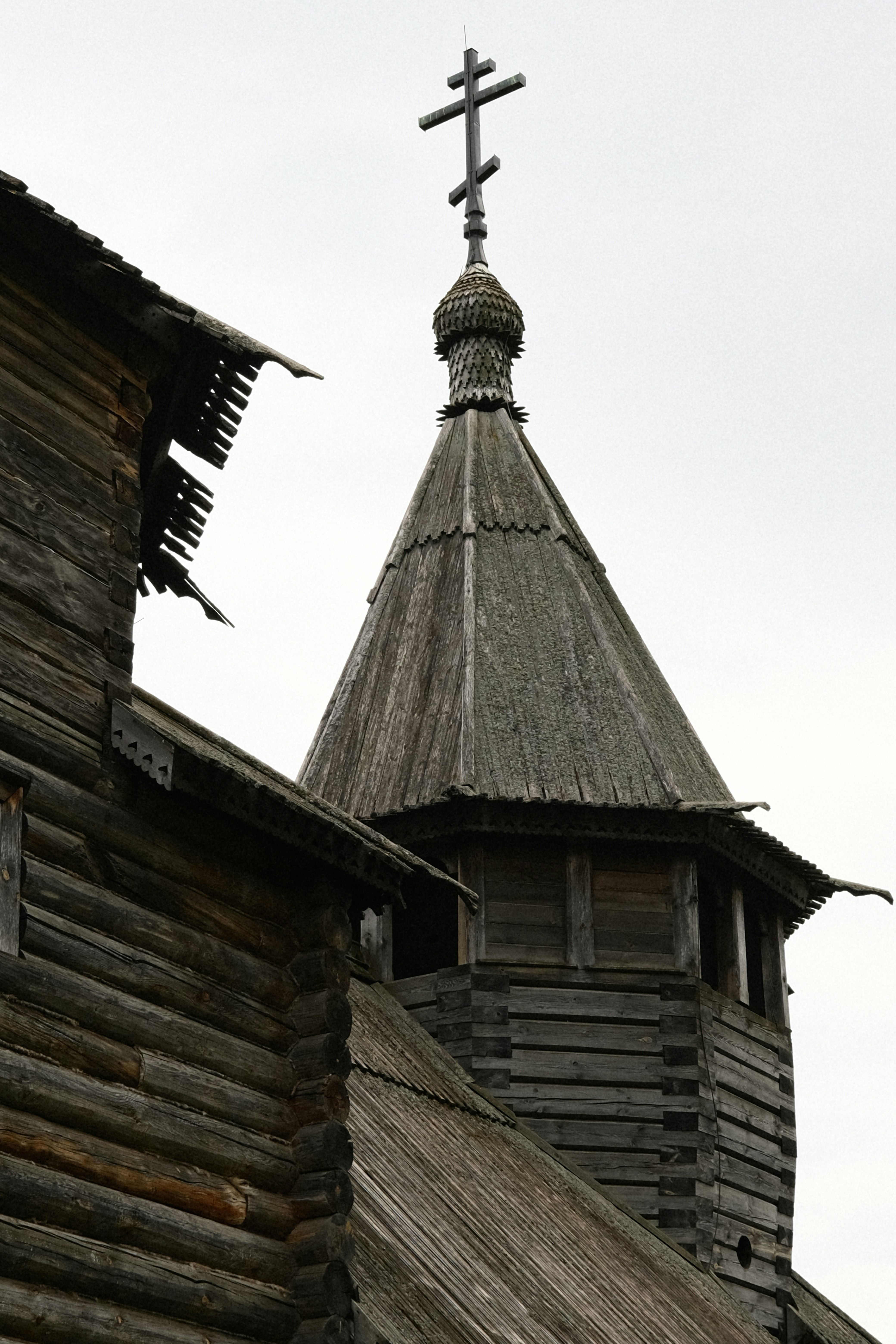 Photo by zapiatkina