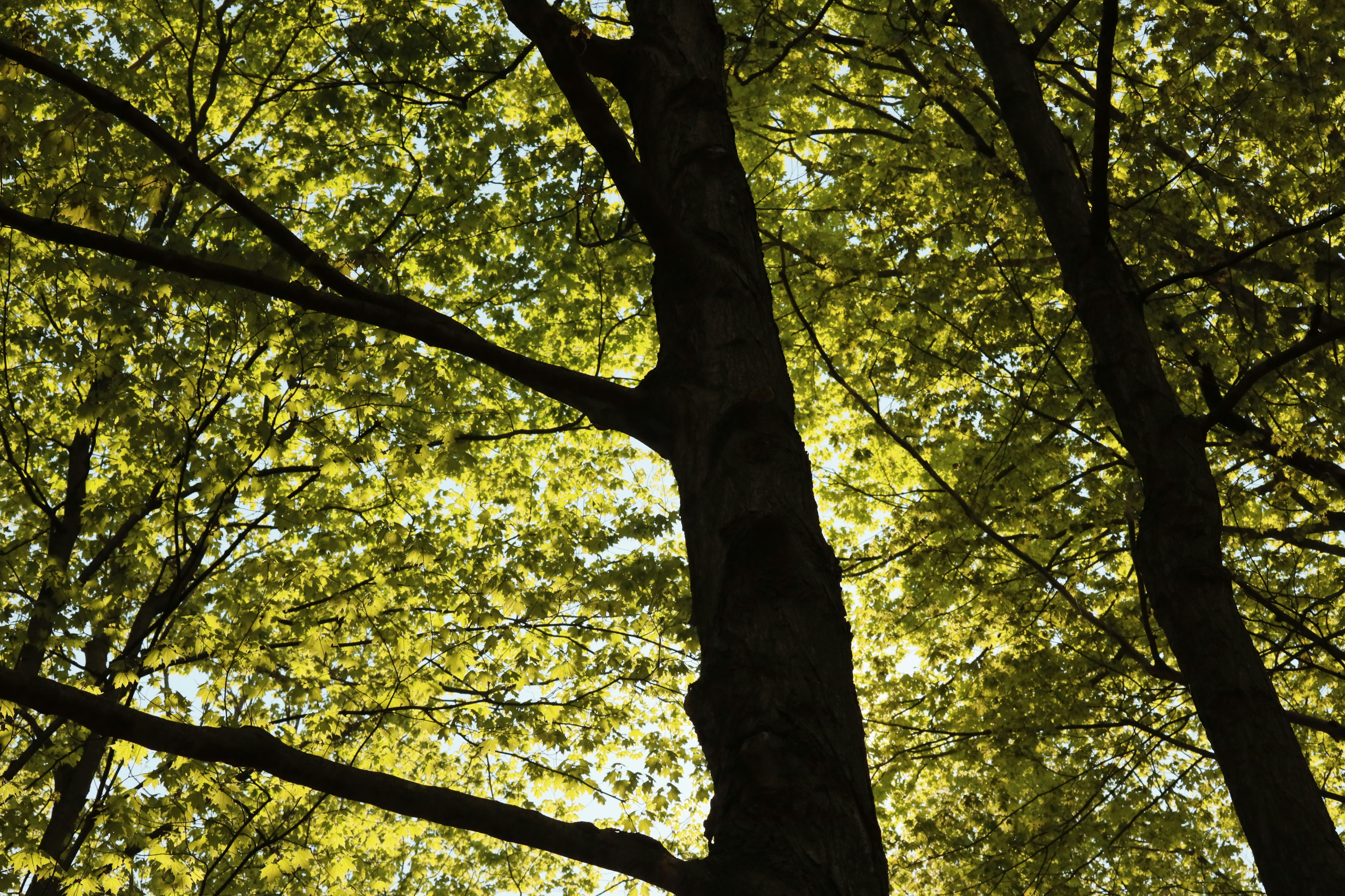 Photo by richardworks