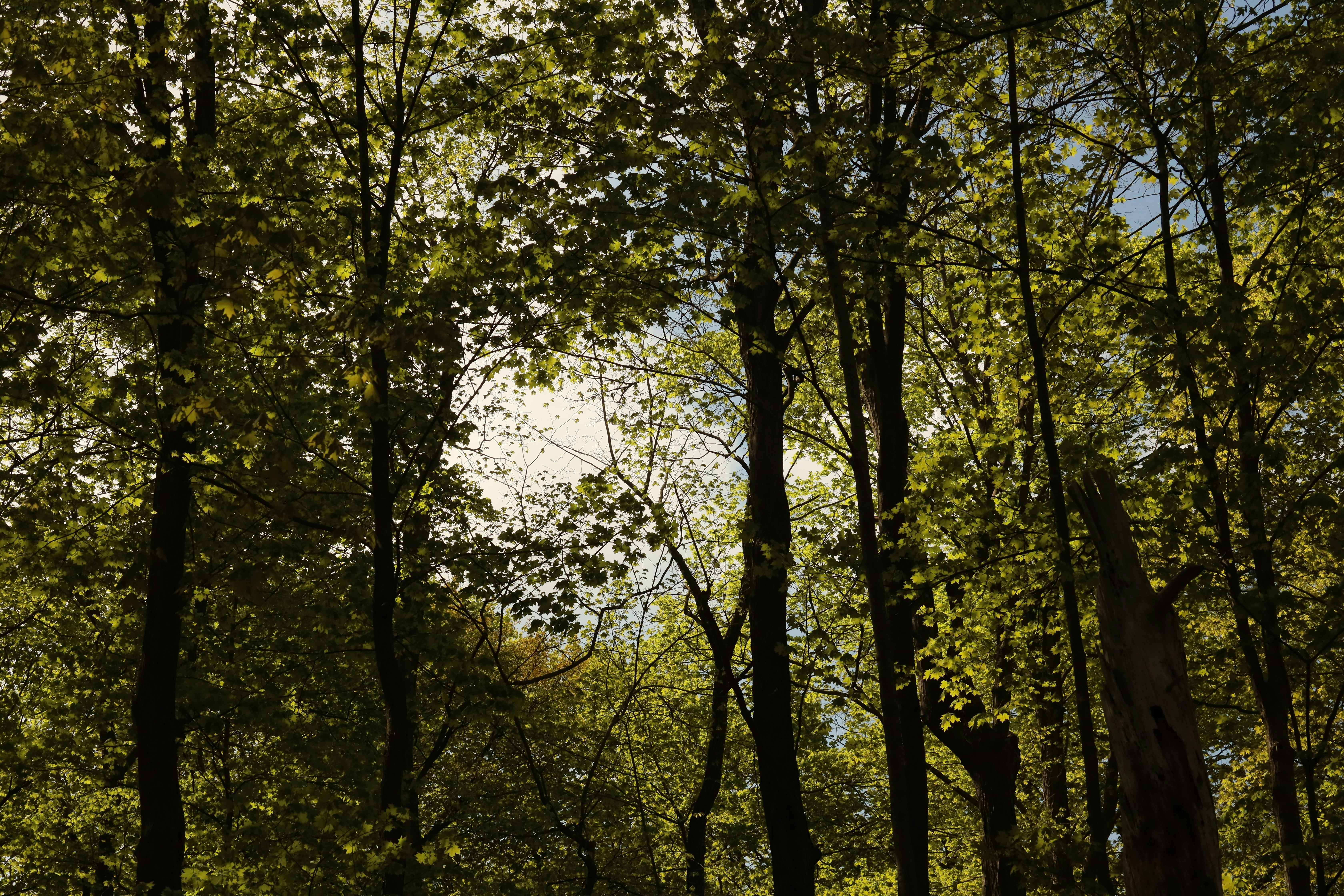 Photo by richardworks