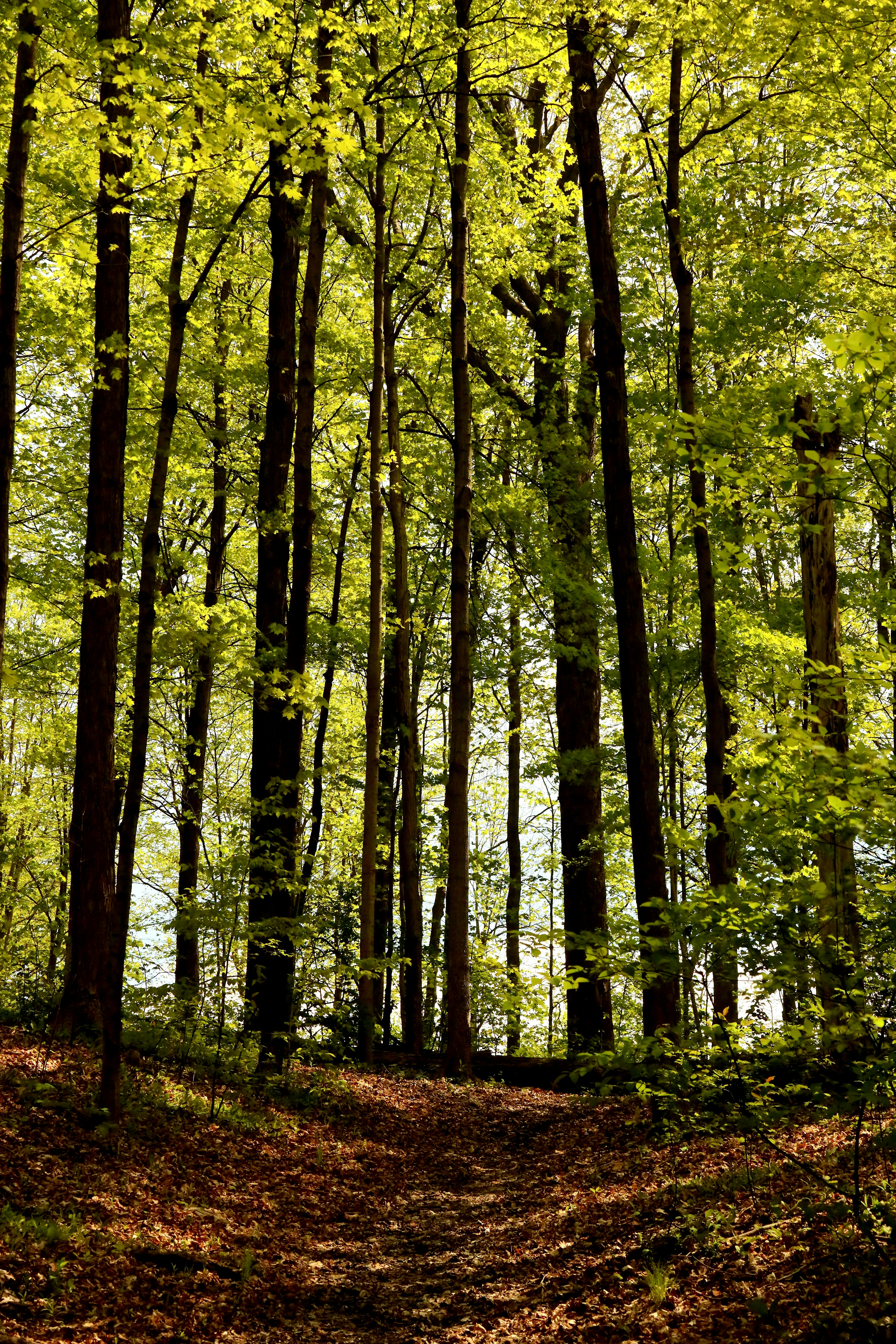 Photo by richardworks