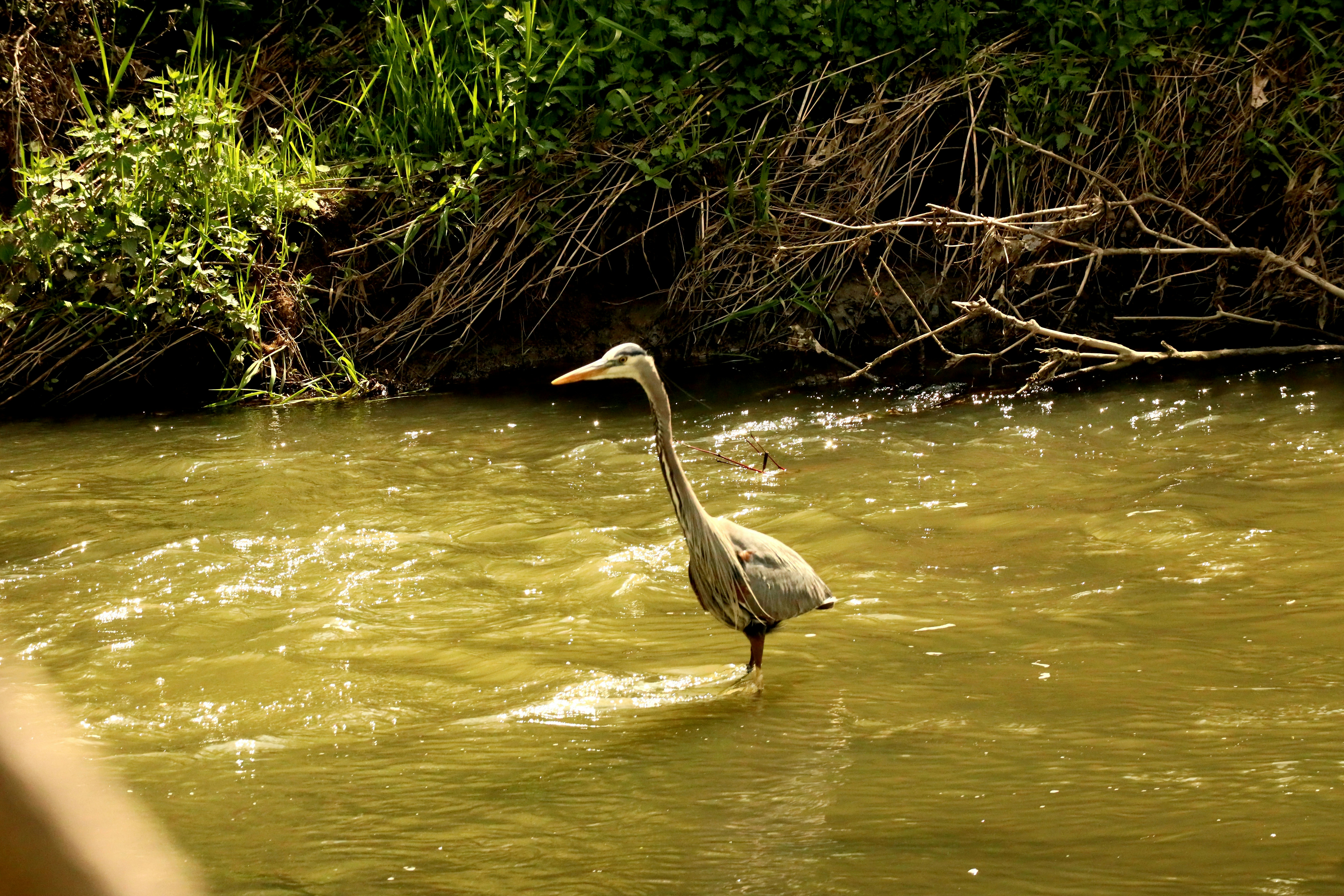 Photo by richardworks