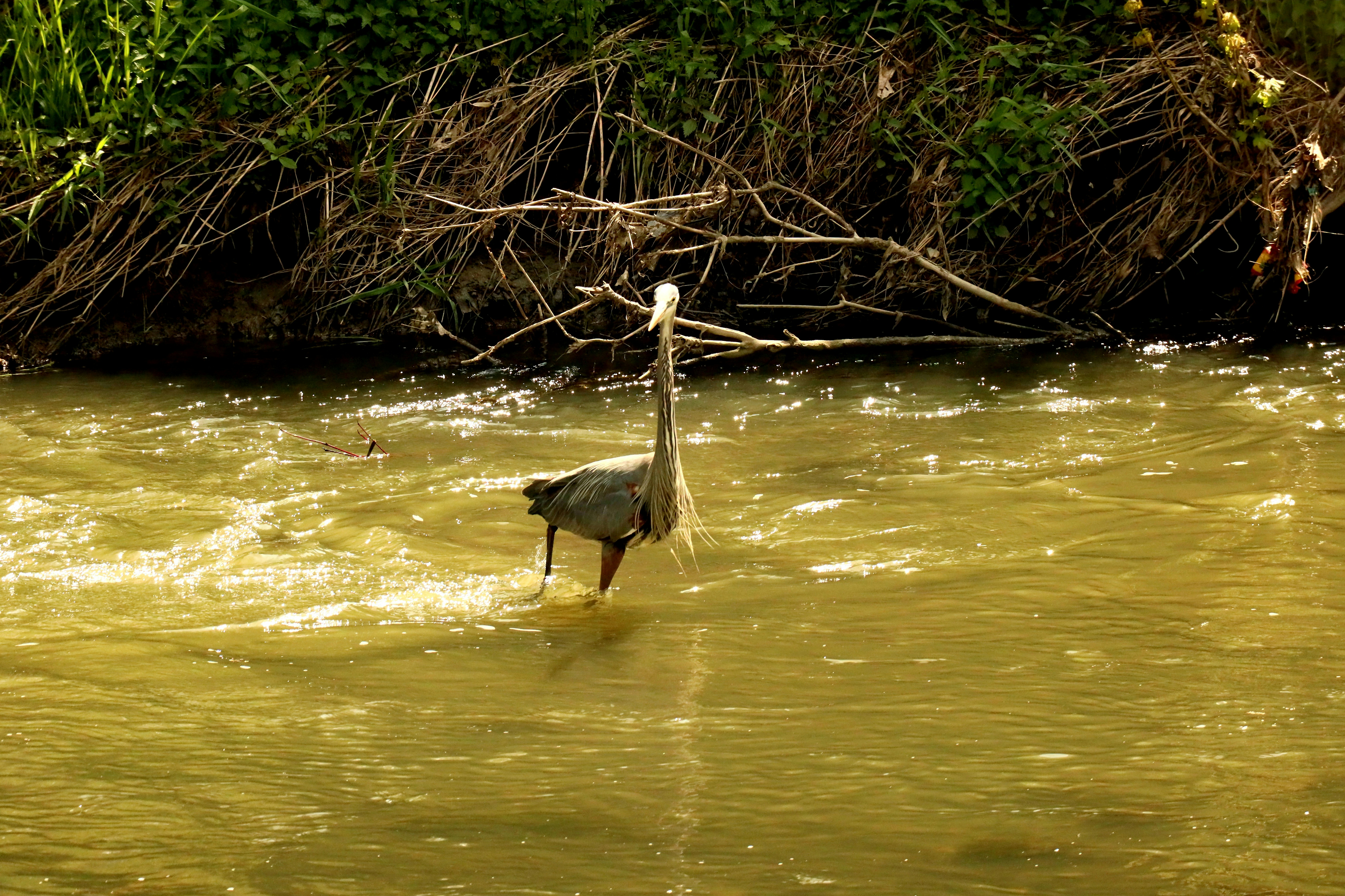 Photo by richardworks