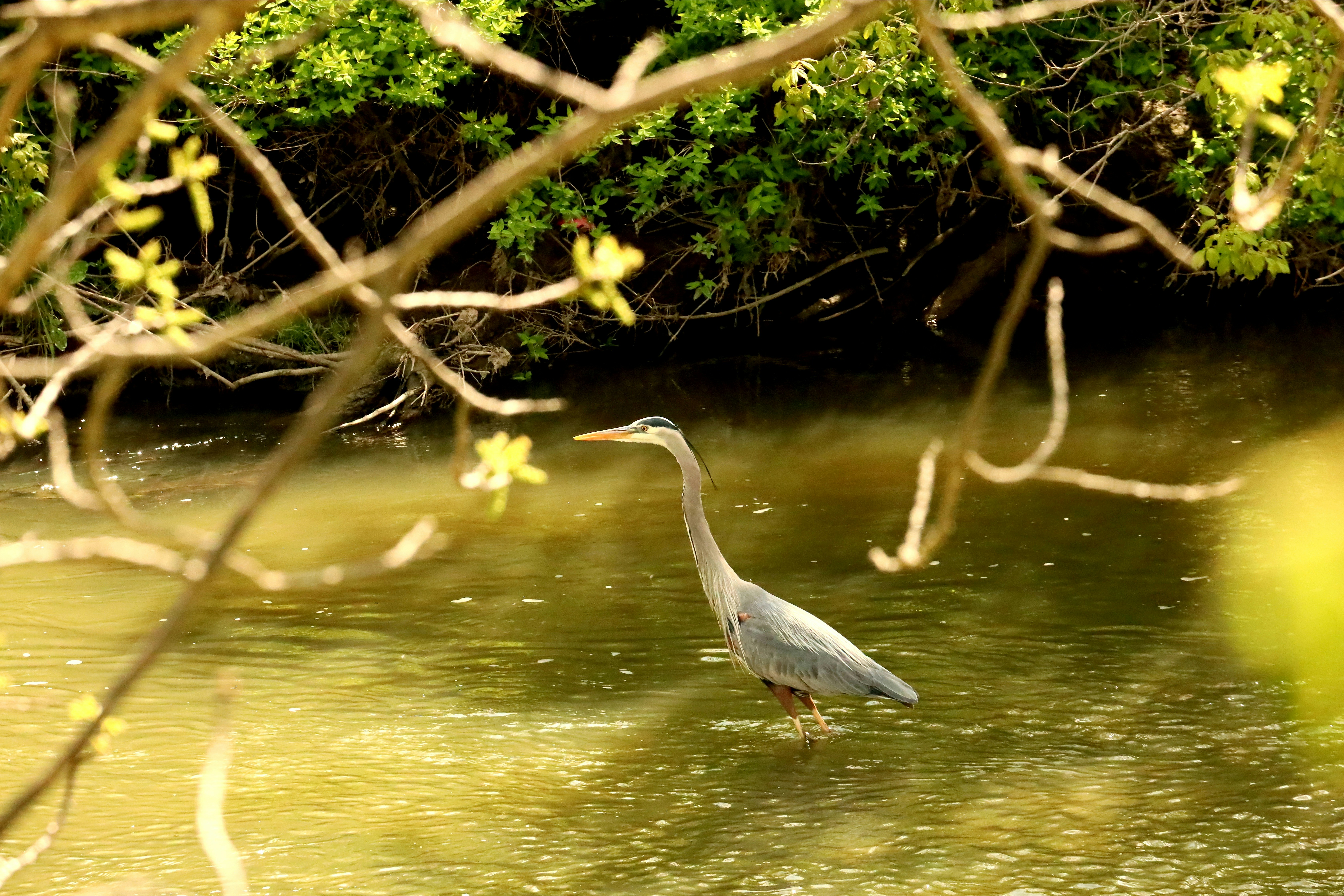 Photo by richardworks