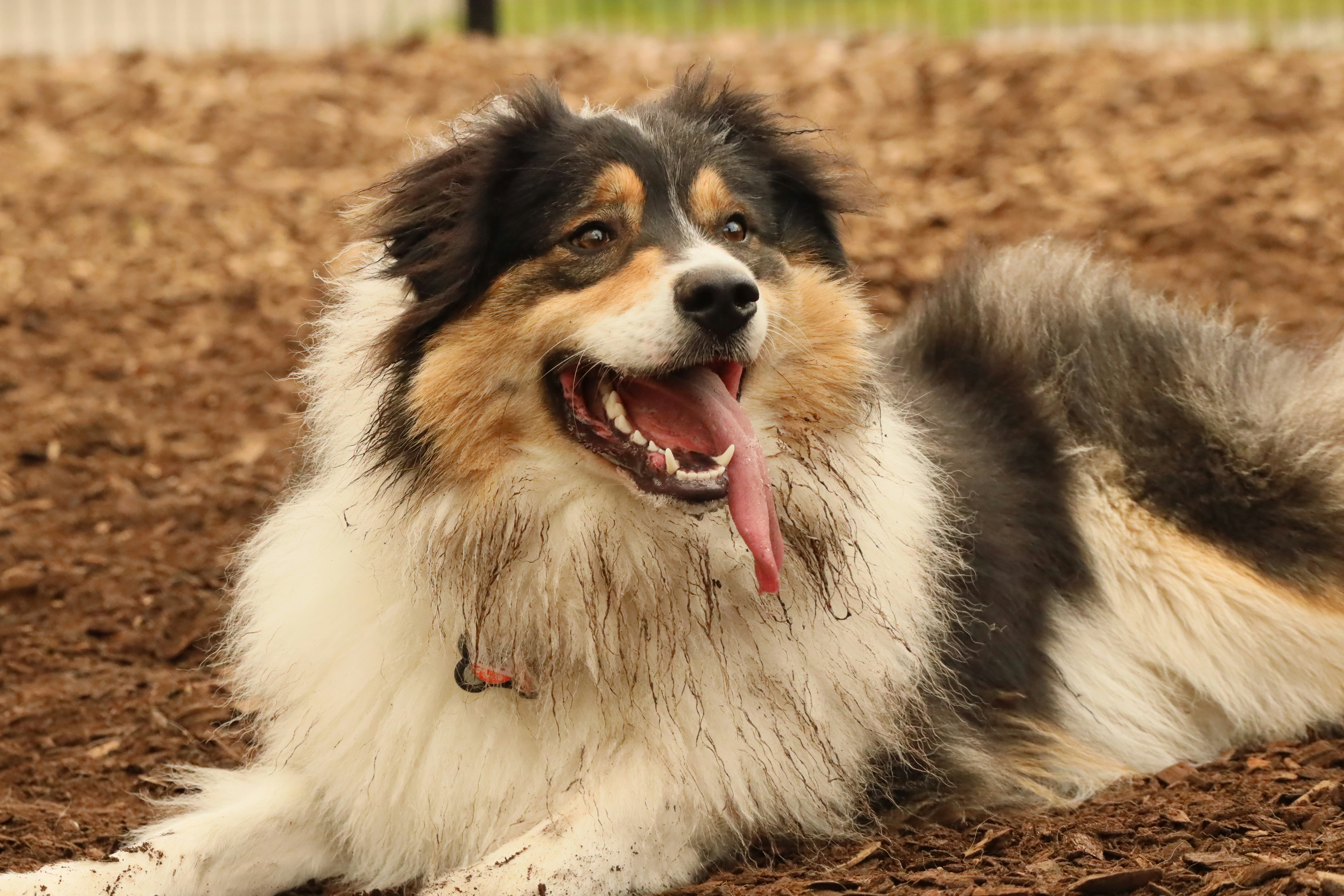 Photo by richardworks