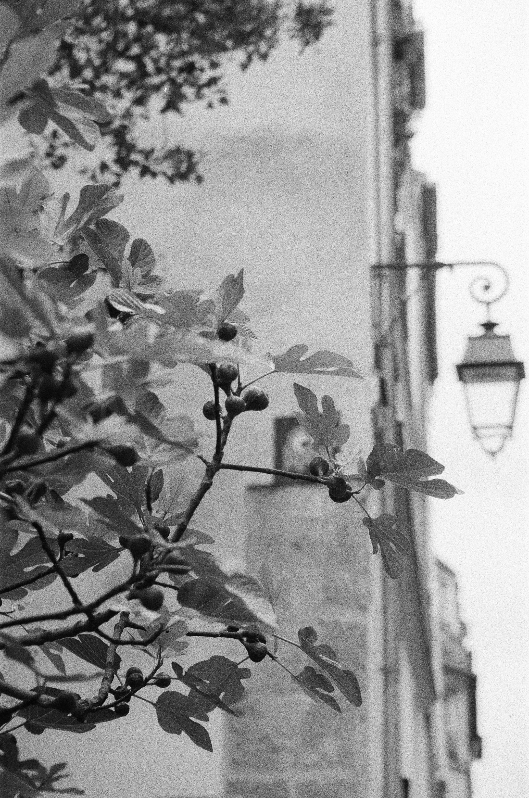 Photo by ninaboshoven