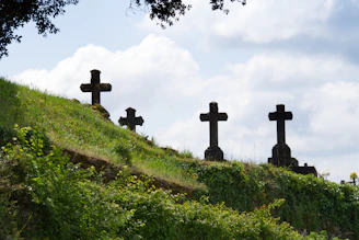 a grassy hill with crosses on top of it
