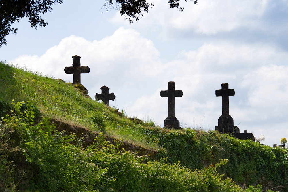 a grassy hill with crosses on top of it