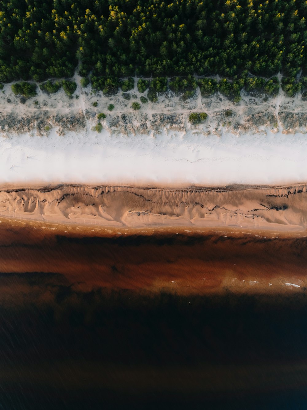 an aerial view of a sandy beach and a body of water