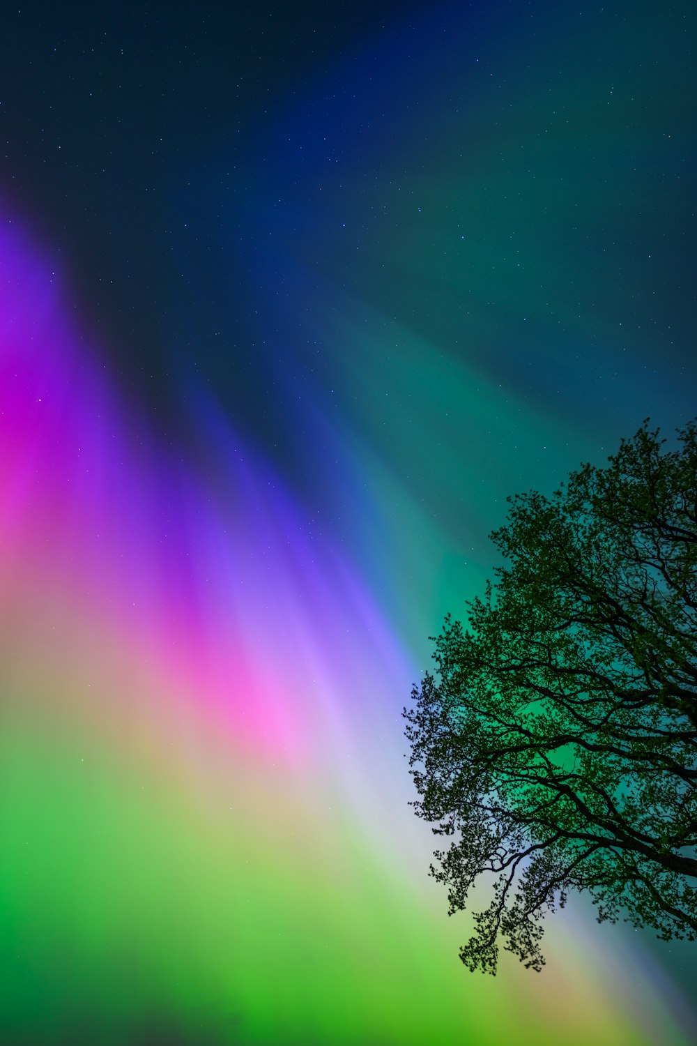 the aurora bore is shining brightly in the night sky