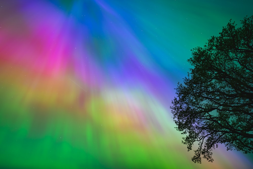 an aurora bore is seen in the sky above a tree