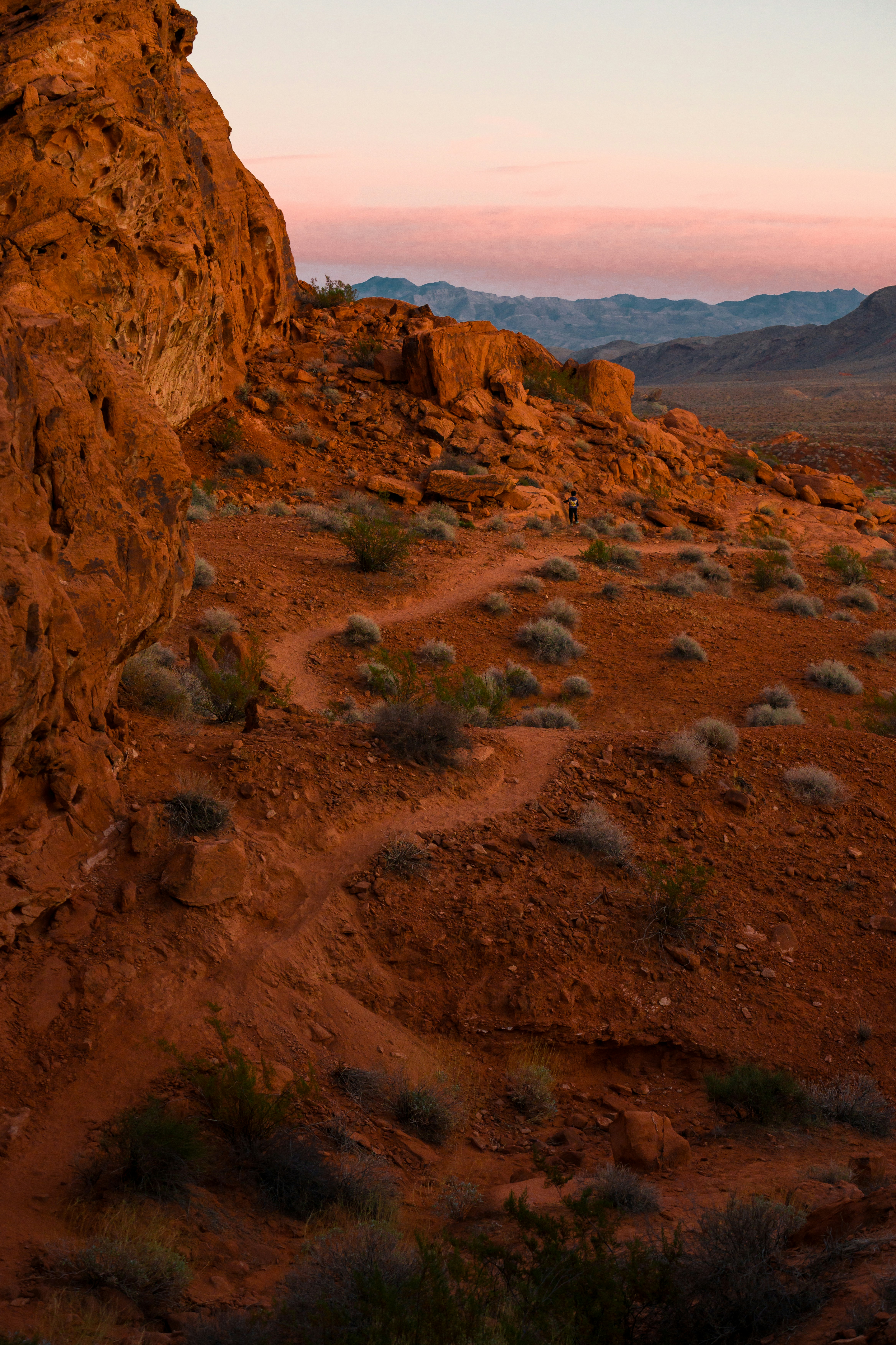 a dirt path in the middle of a desert