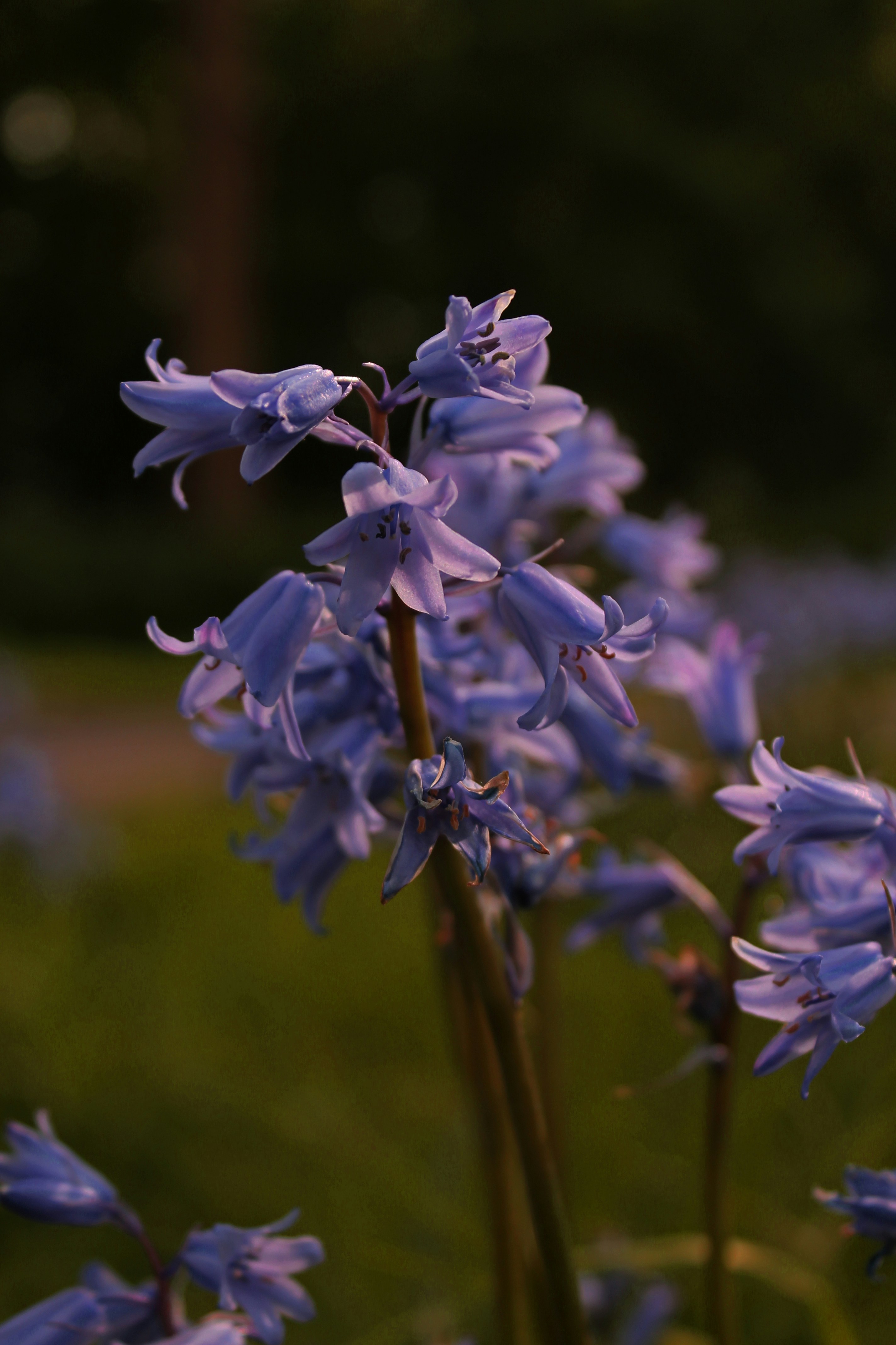Photo by wswierzgon