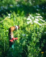 a pipe sticking out of the ground in a field of grass
