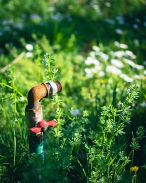 a pipe sticking out of the ground in a field of grass