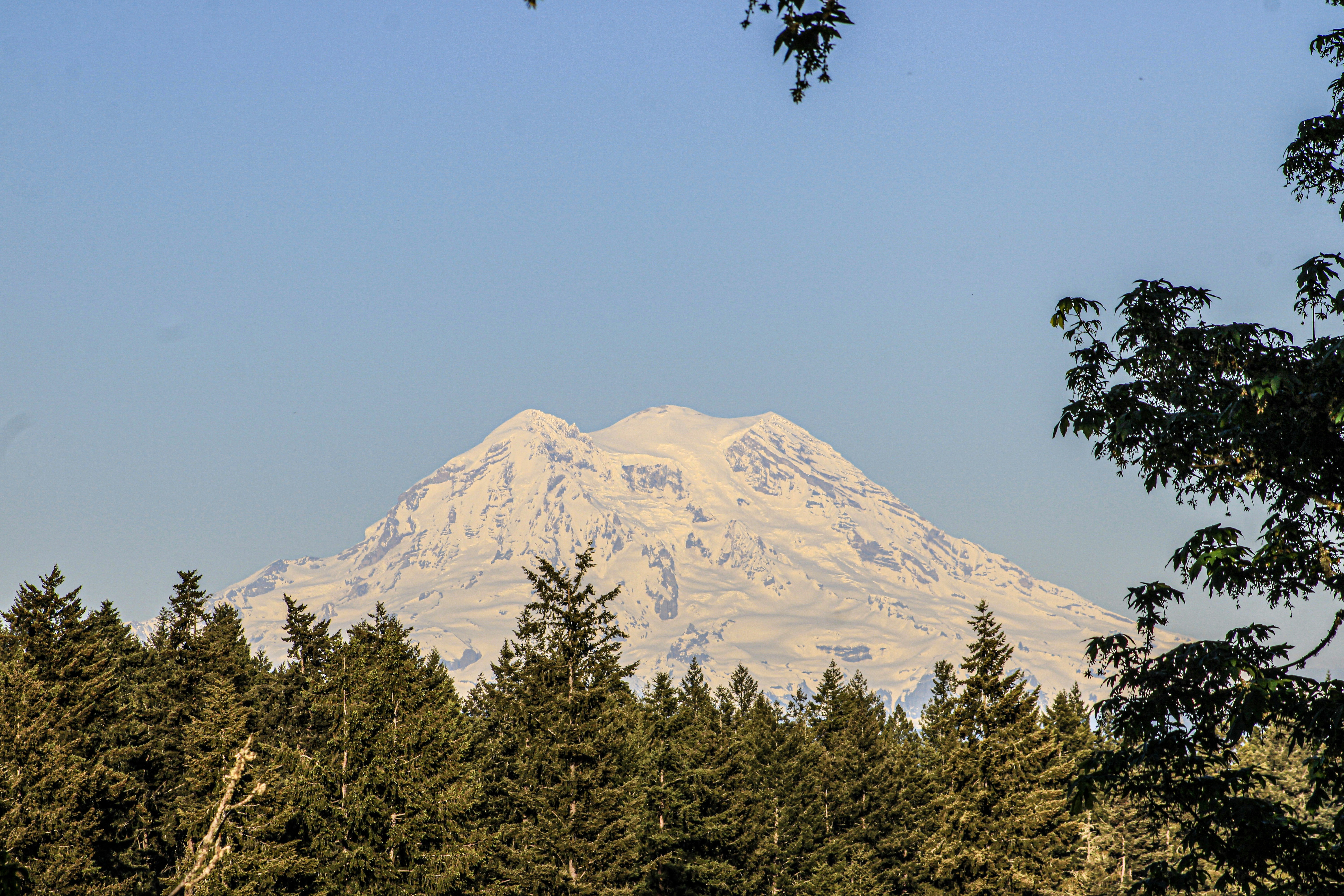 Photo by prphotography262