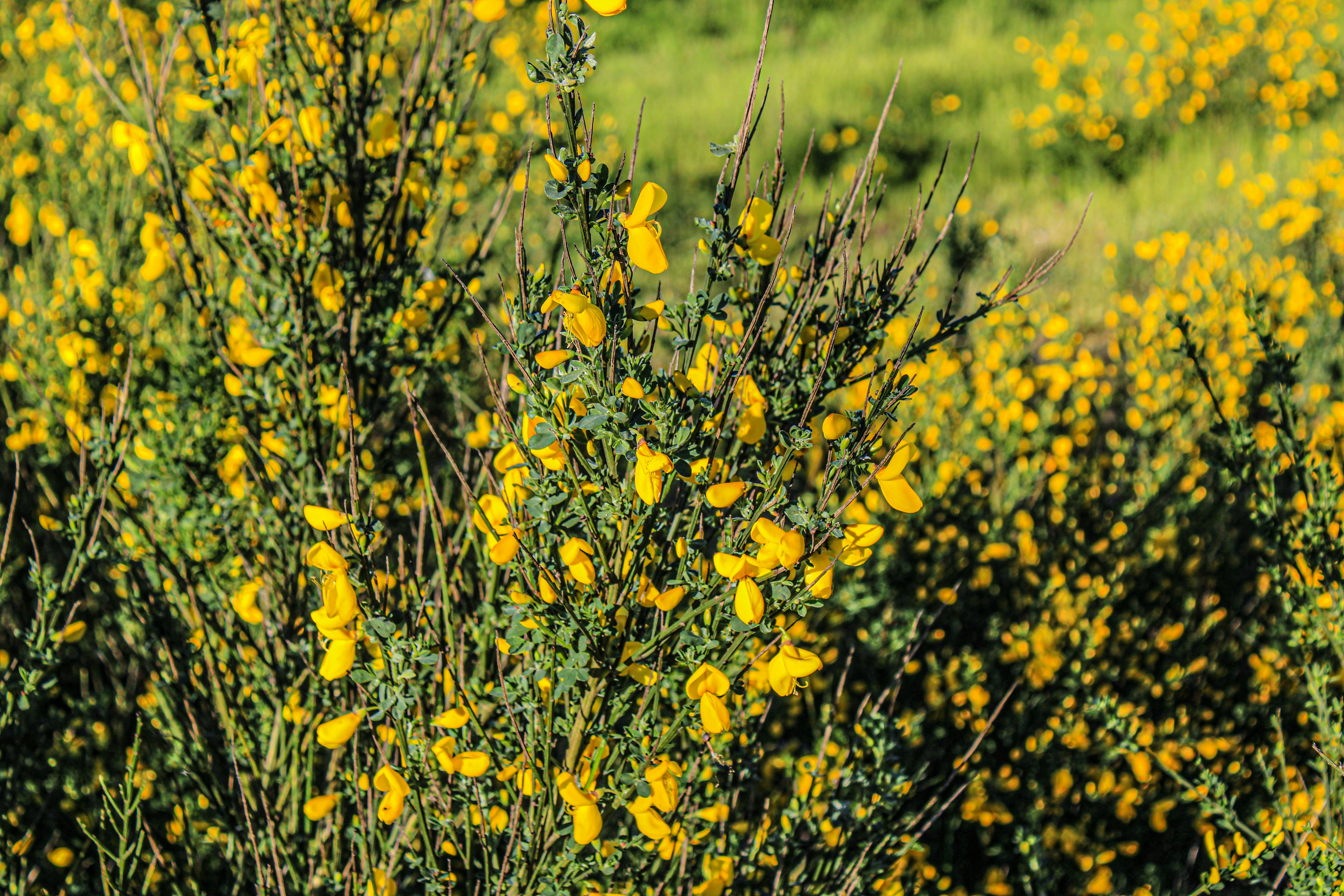 Photo by prphotography262