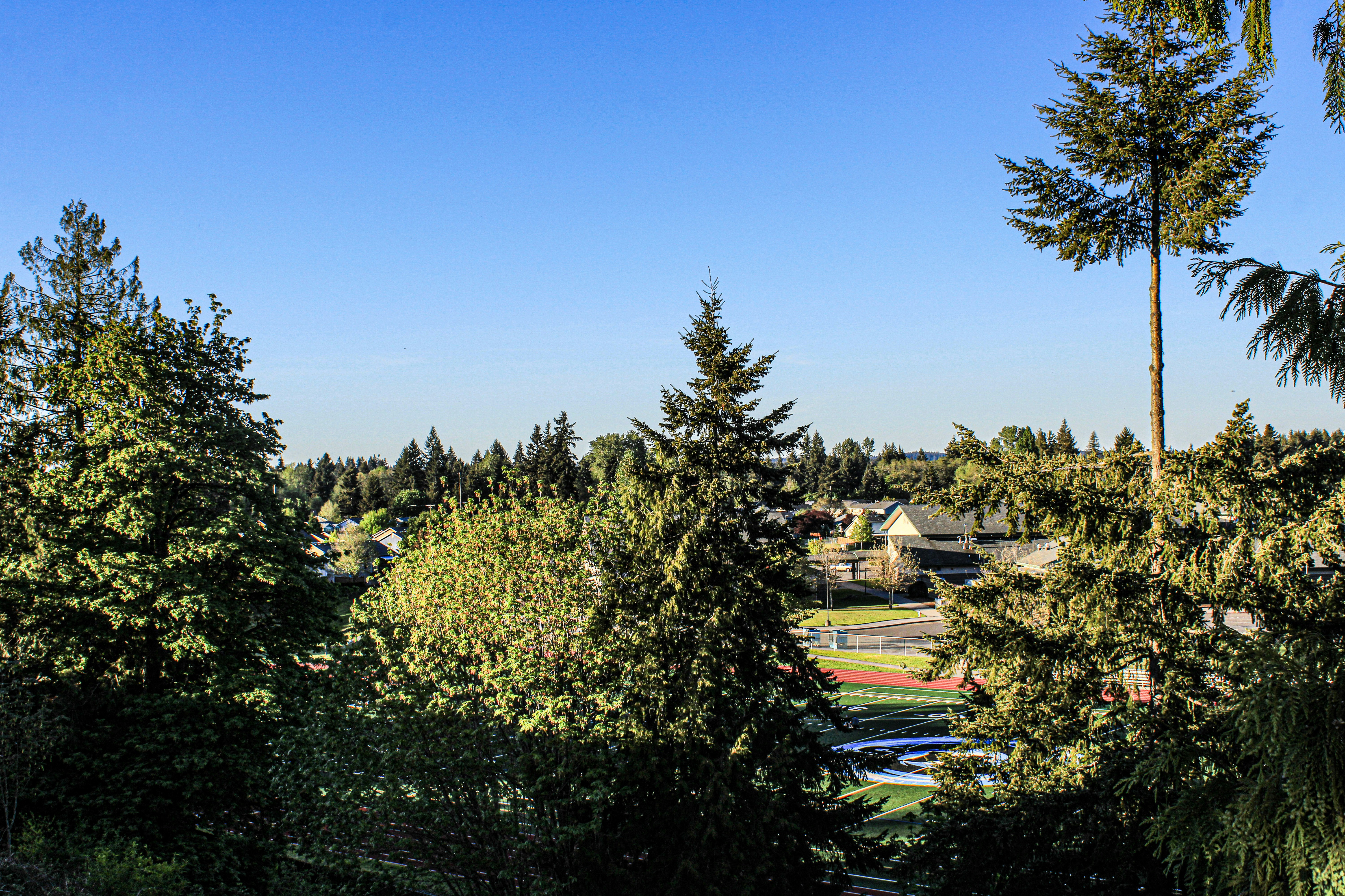 Discovery Park