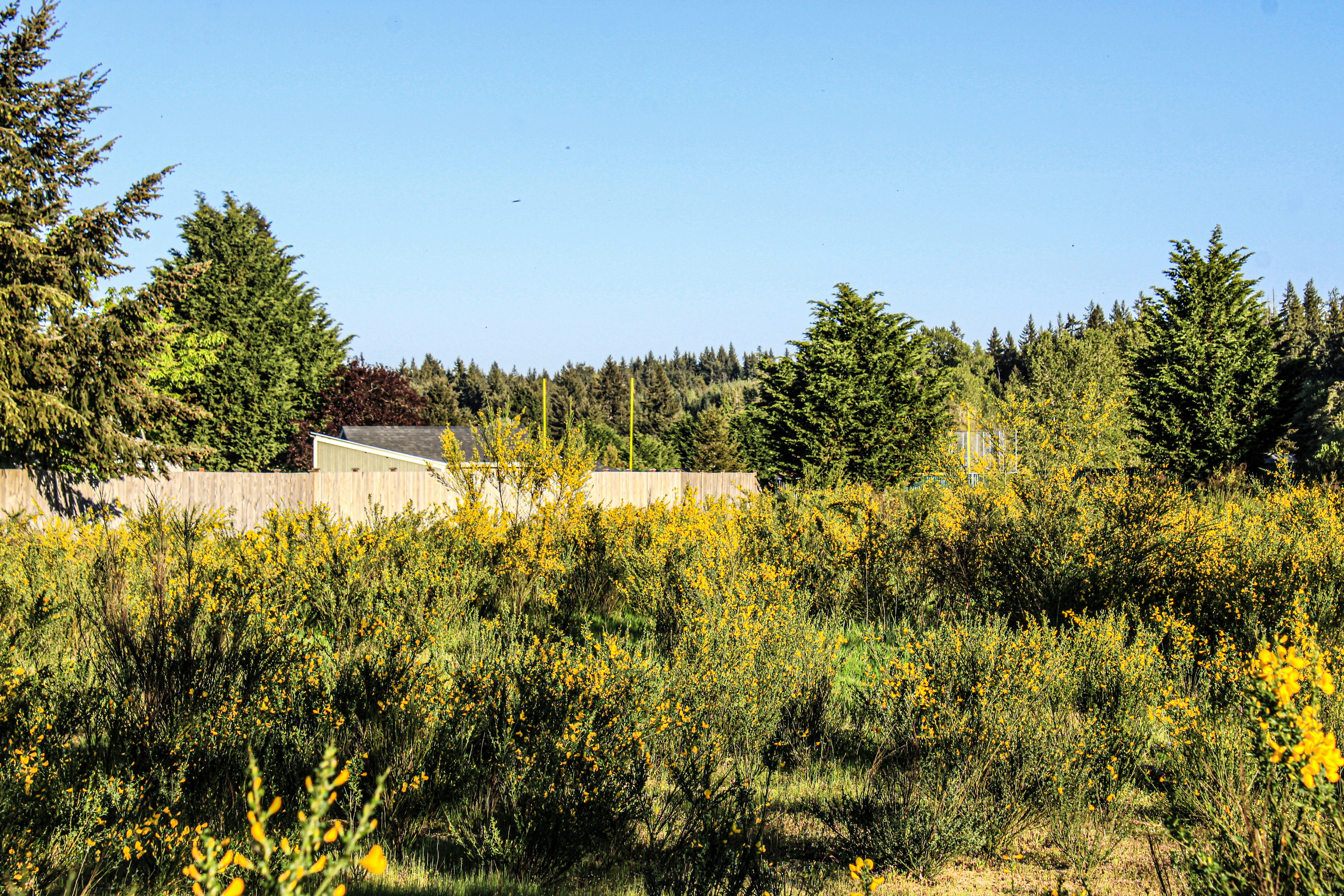 Photo by prphotography262