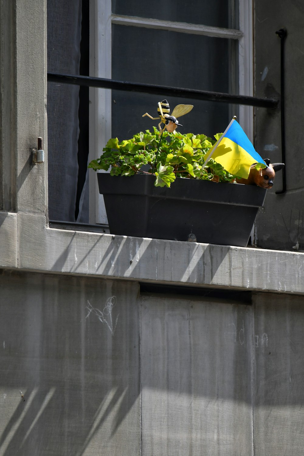 a potted plant with a blue and yellow umbrella