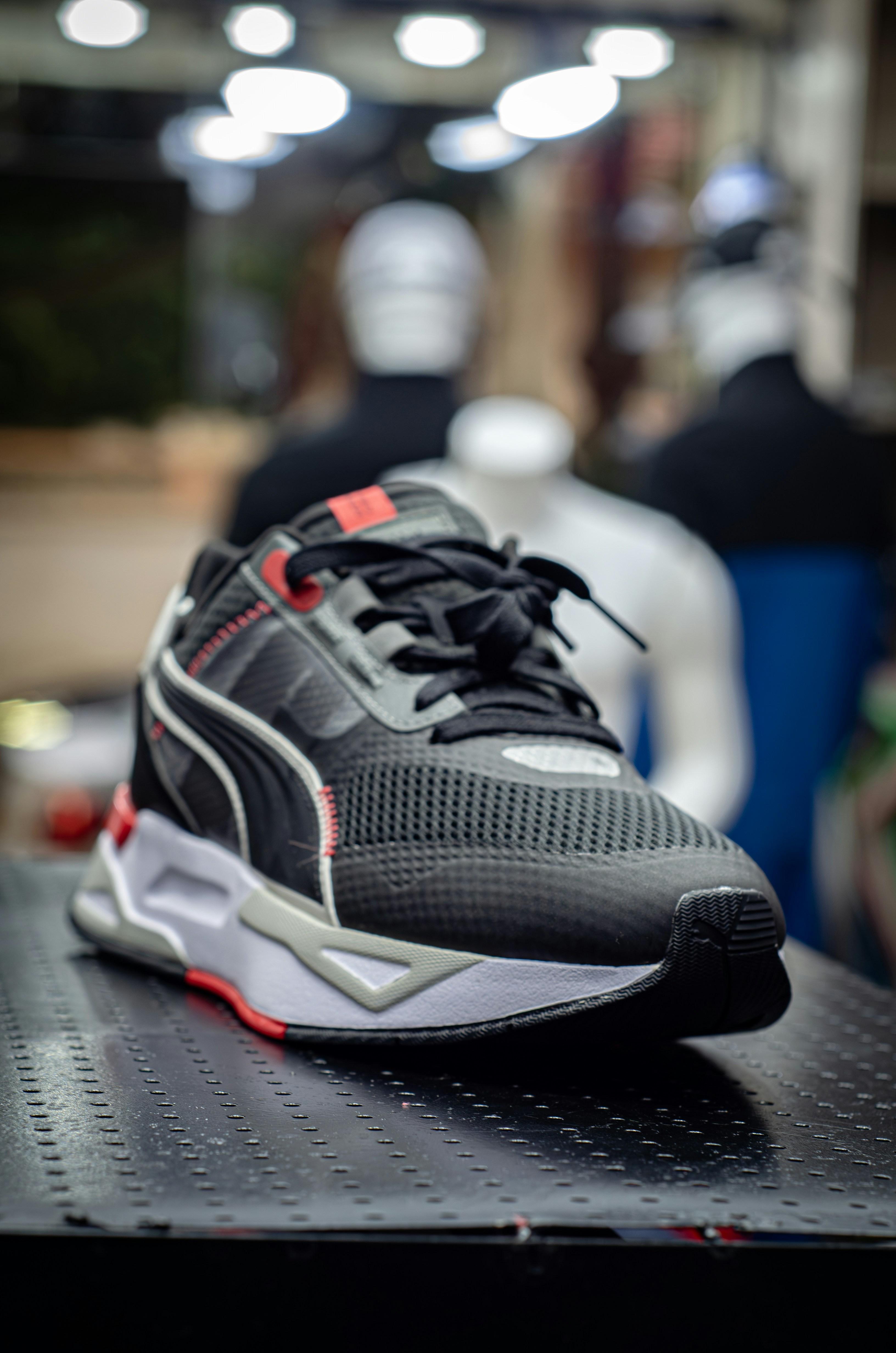 Photo by alpha_photographer