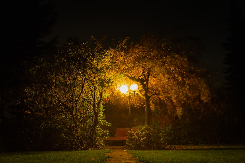 a path leading to a light in a park at night