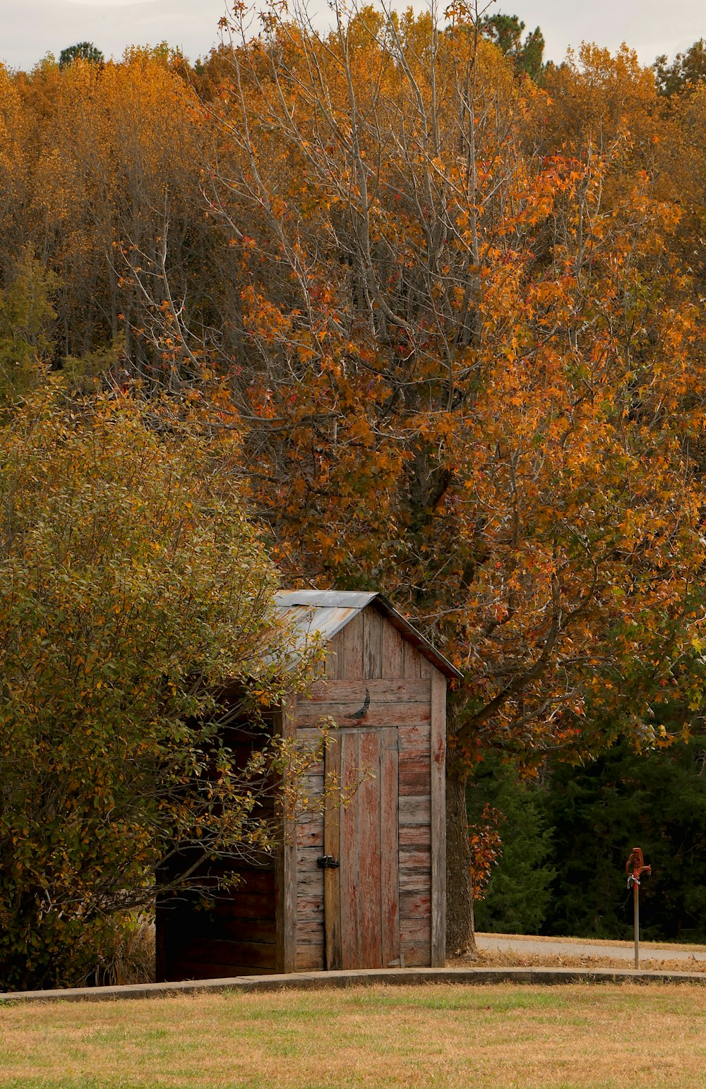 a outhouse in the middle of a field with trees in the background