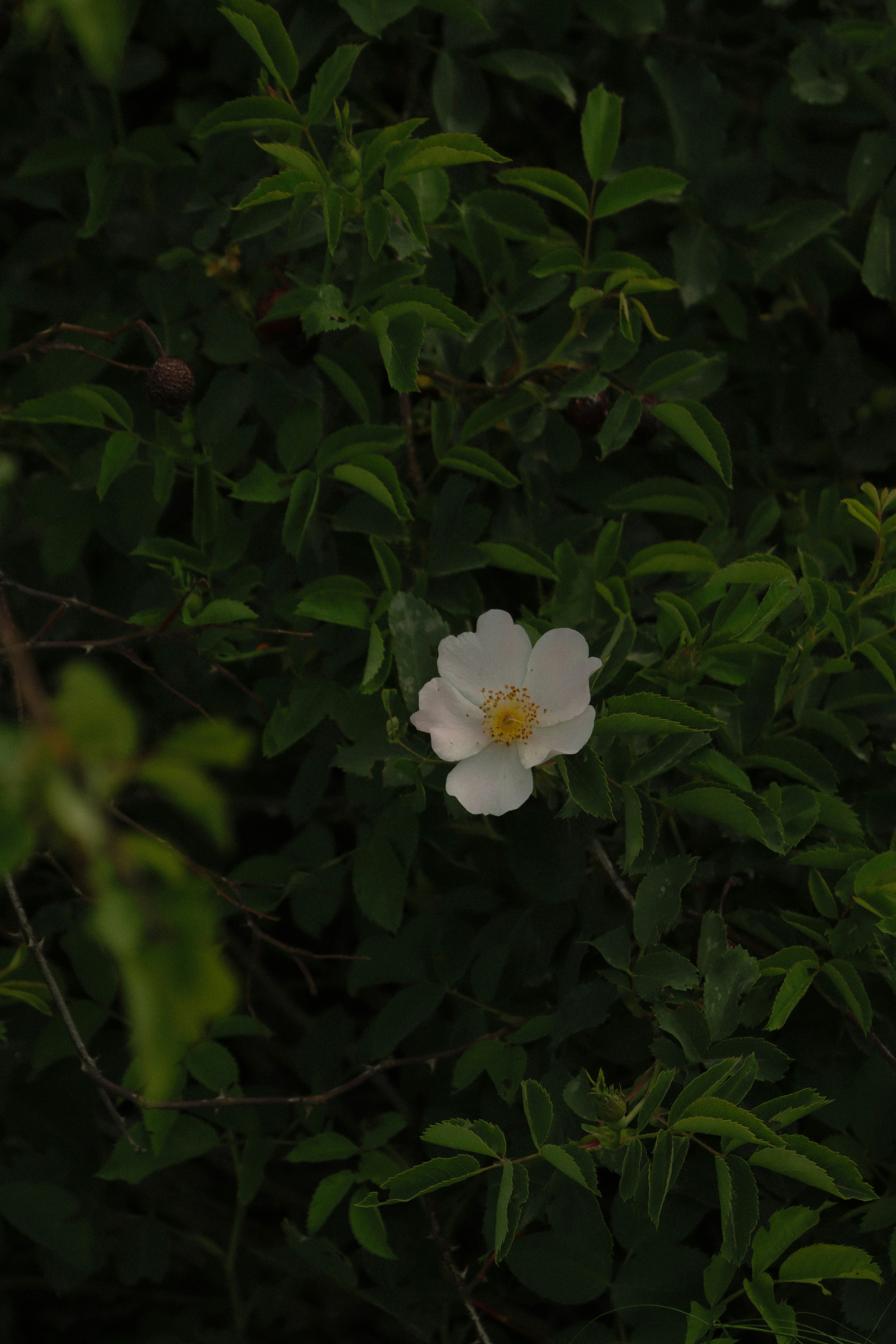 Photo by anastasiksbdh