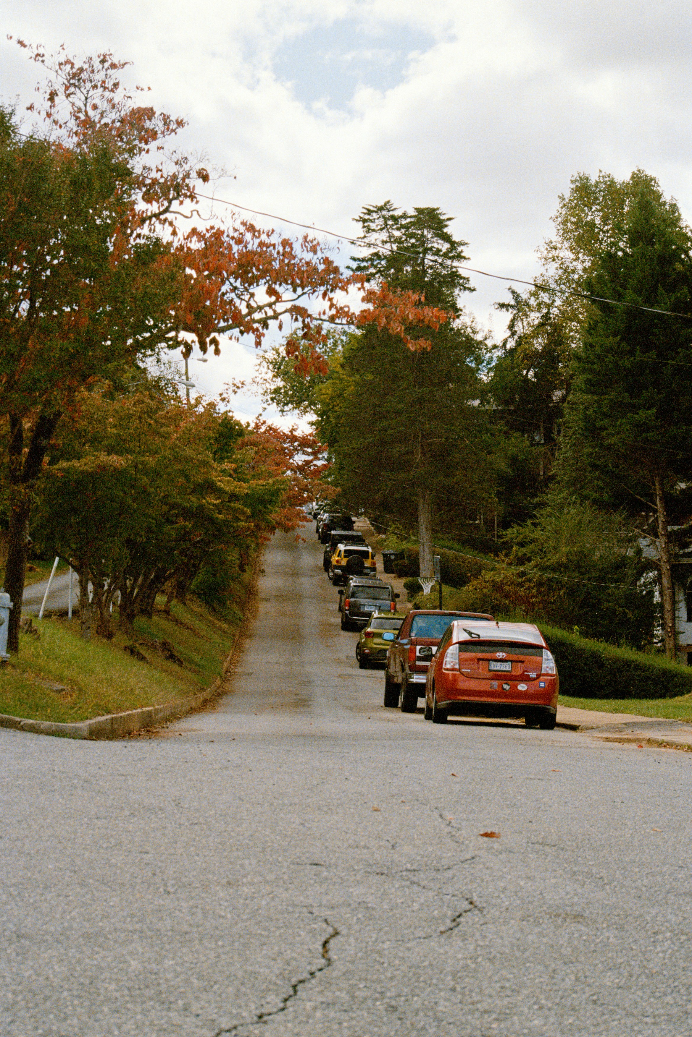 Photo by lillybranks