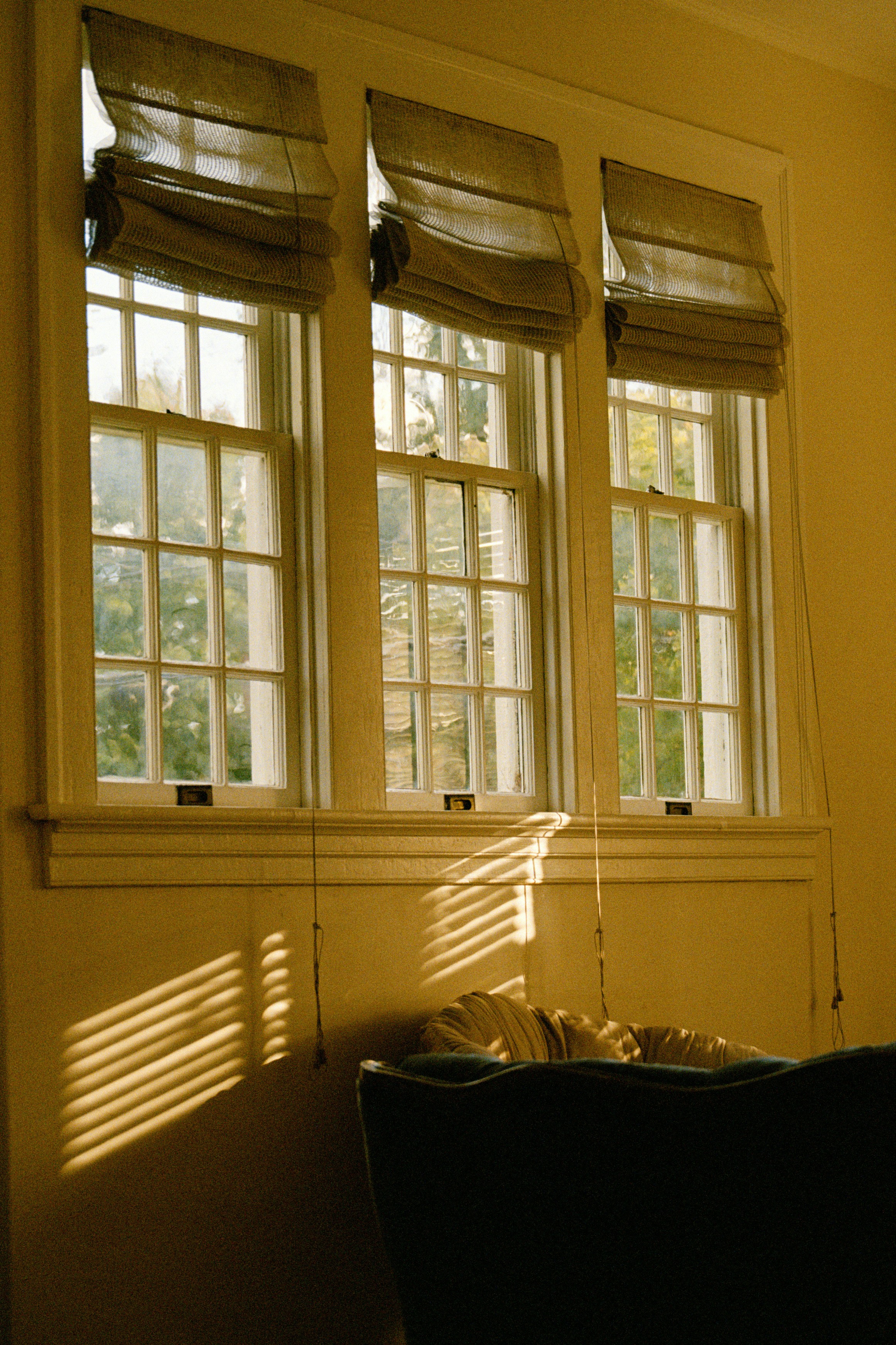 Photo by lillybranks