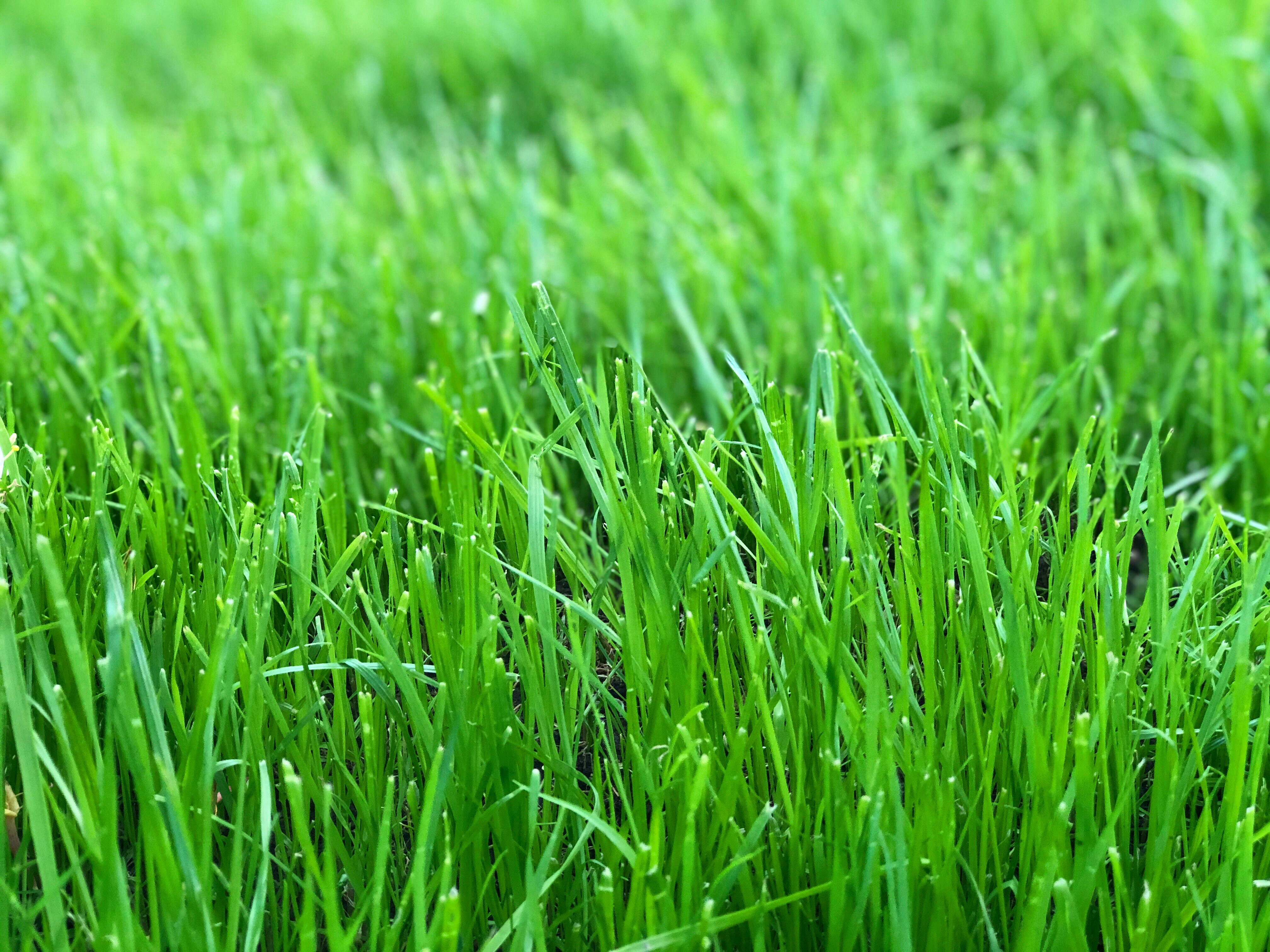 Photo by hlorfeniramin