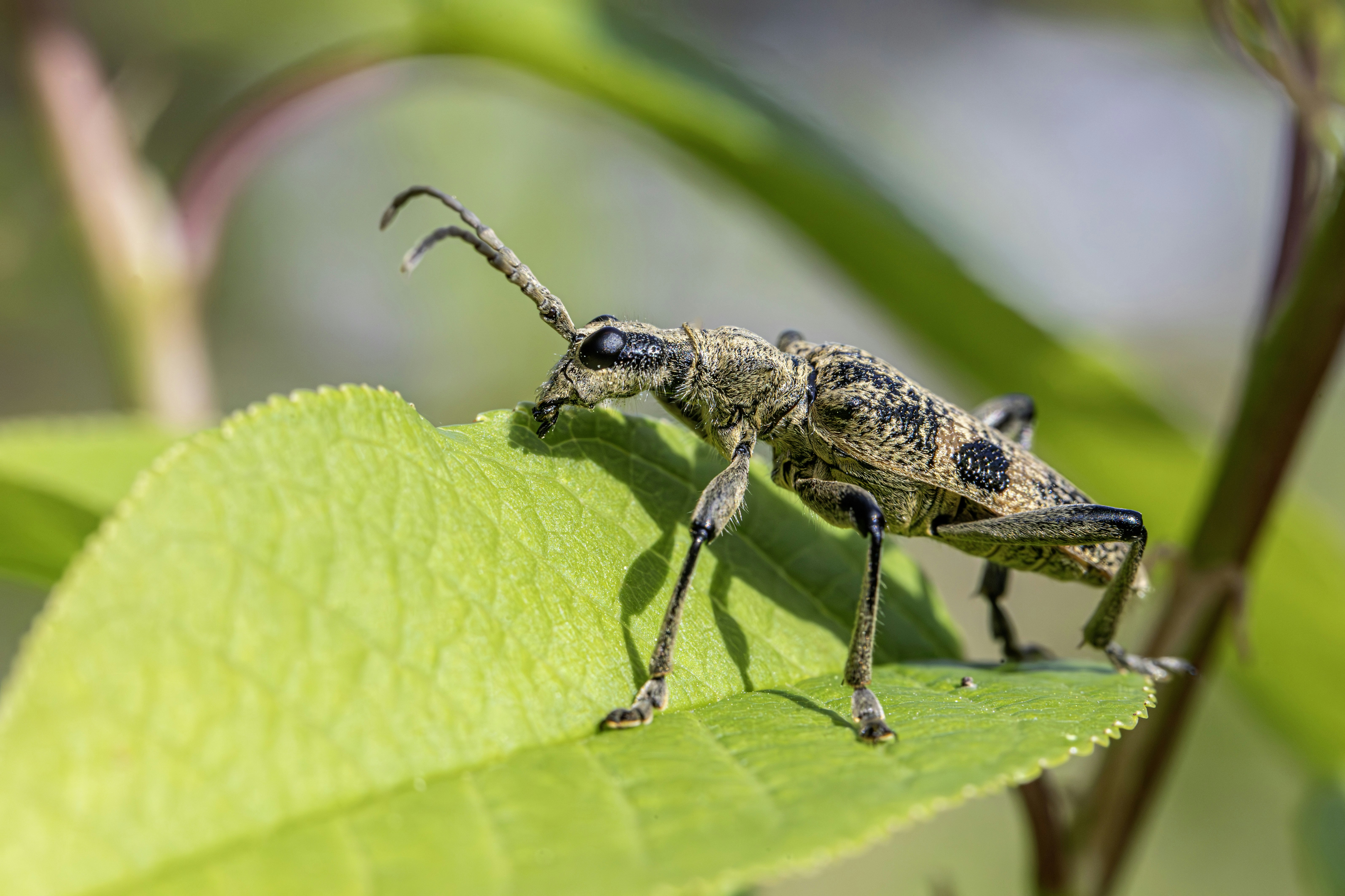 Photo by erik_karits