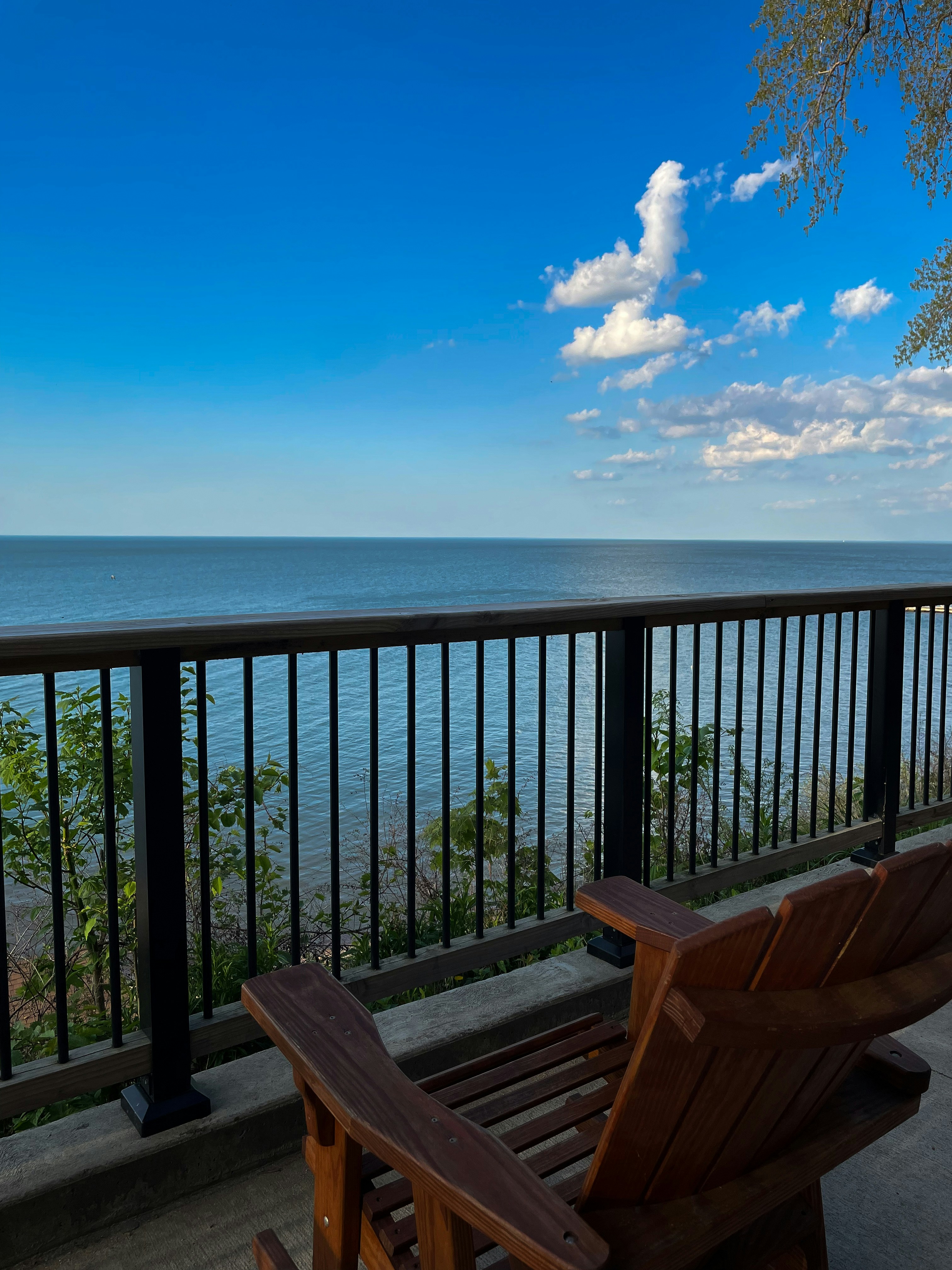 Photo by luiscantos21