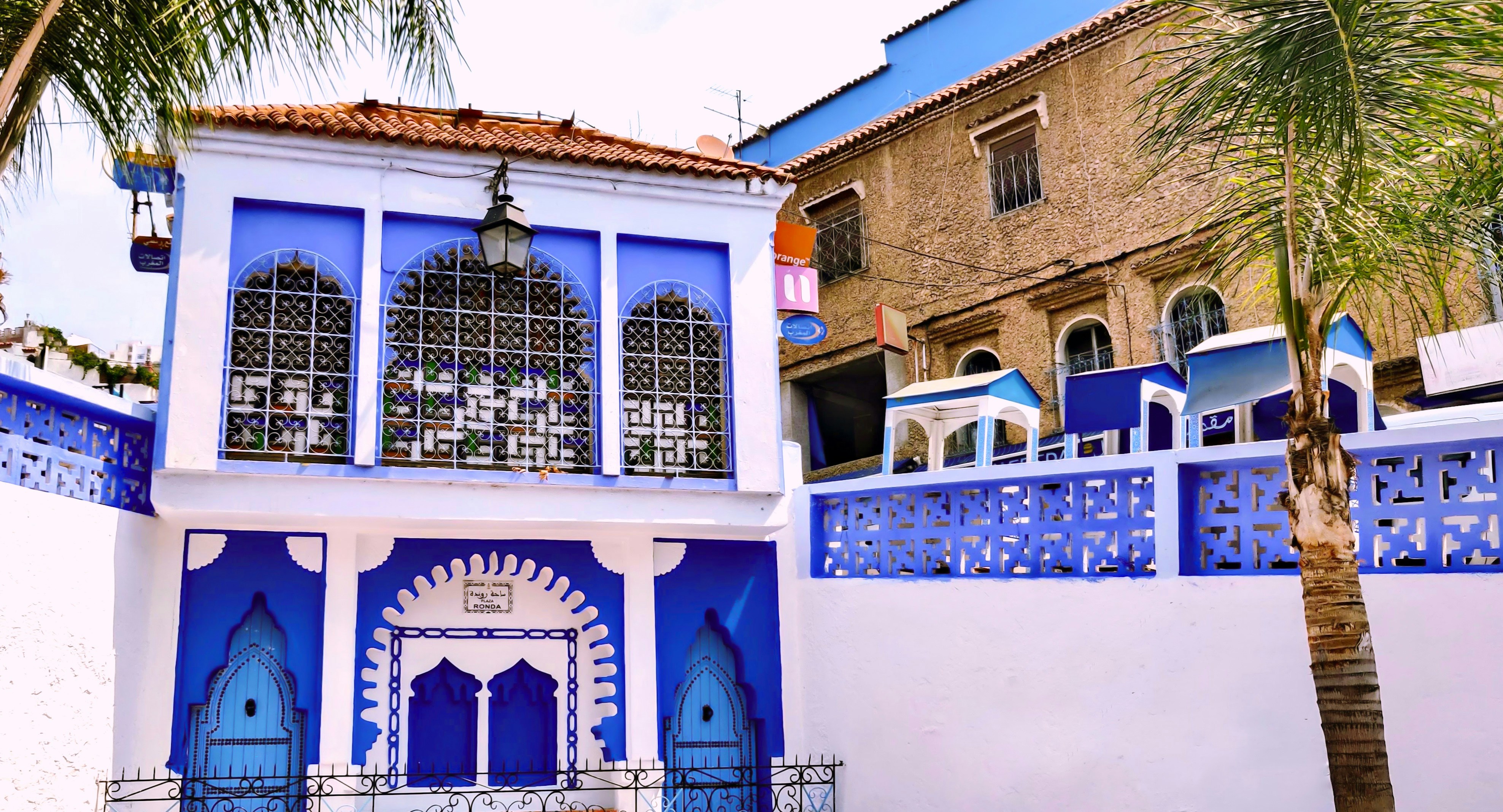 a blue and white building with a palm tree in front of it