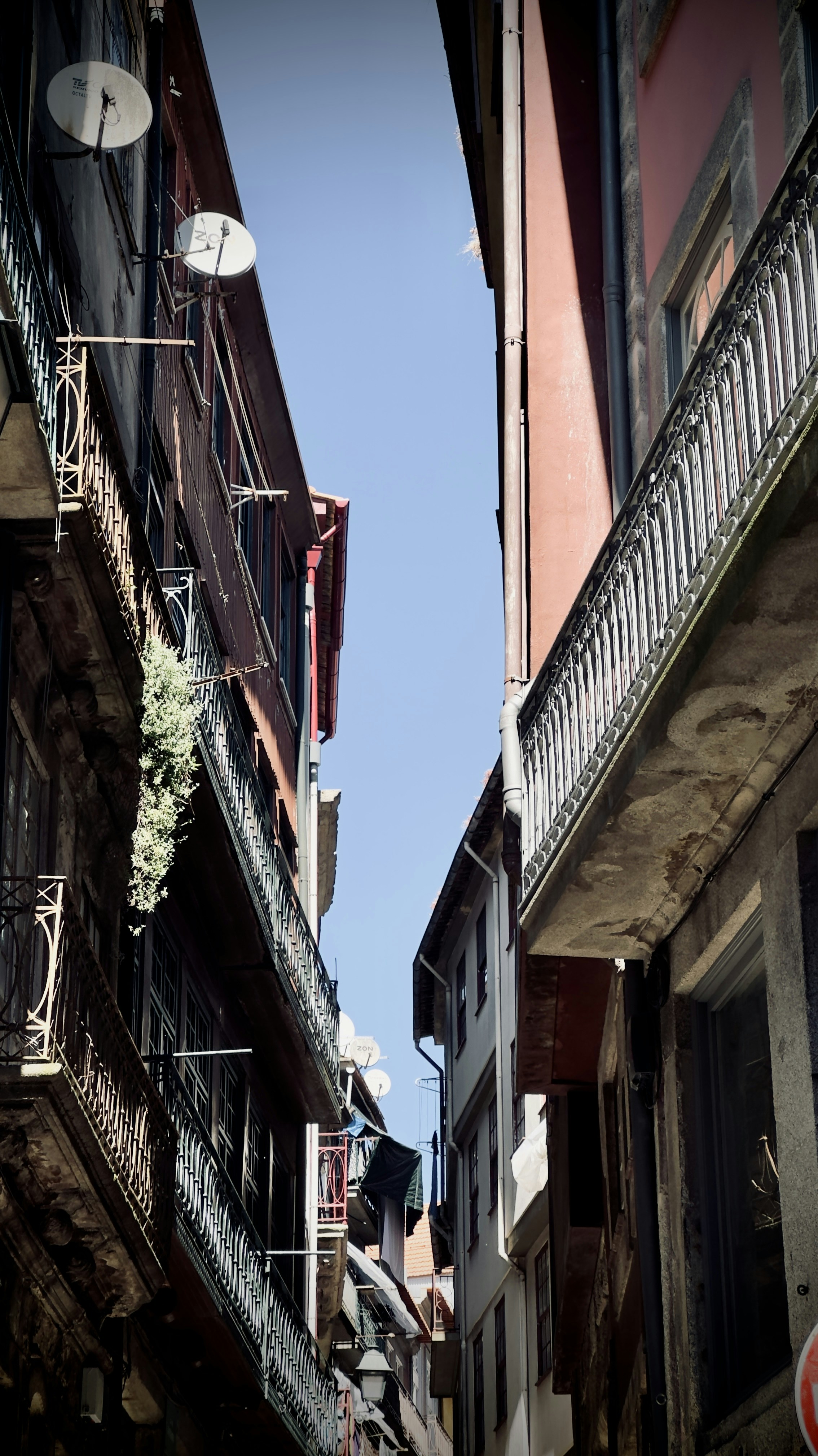 Photo by no_second_best