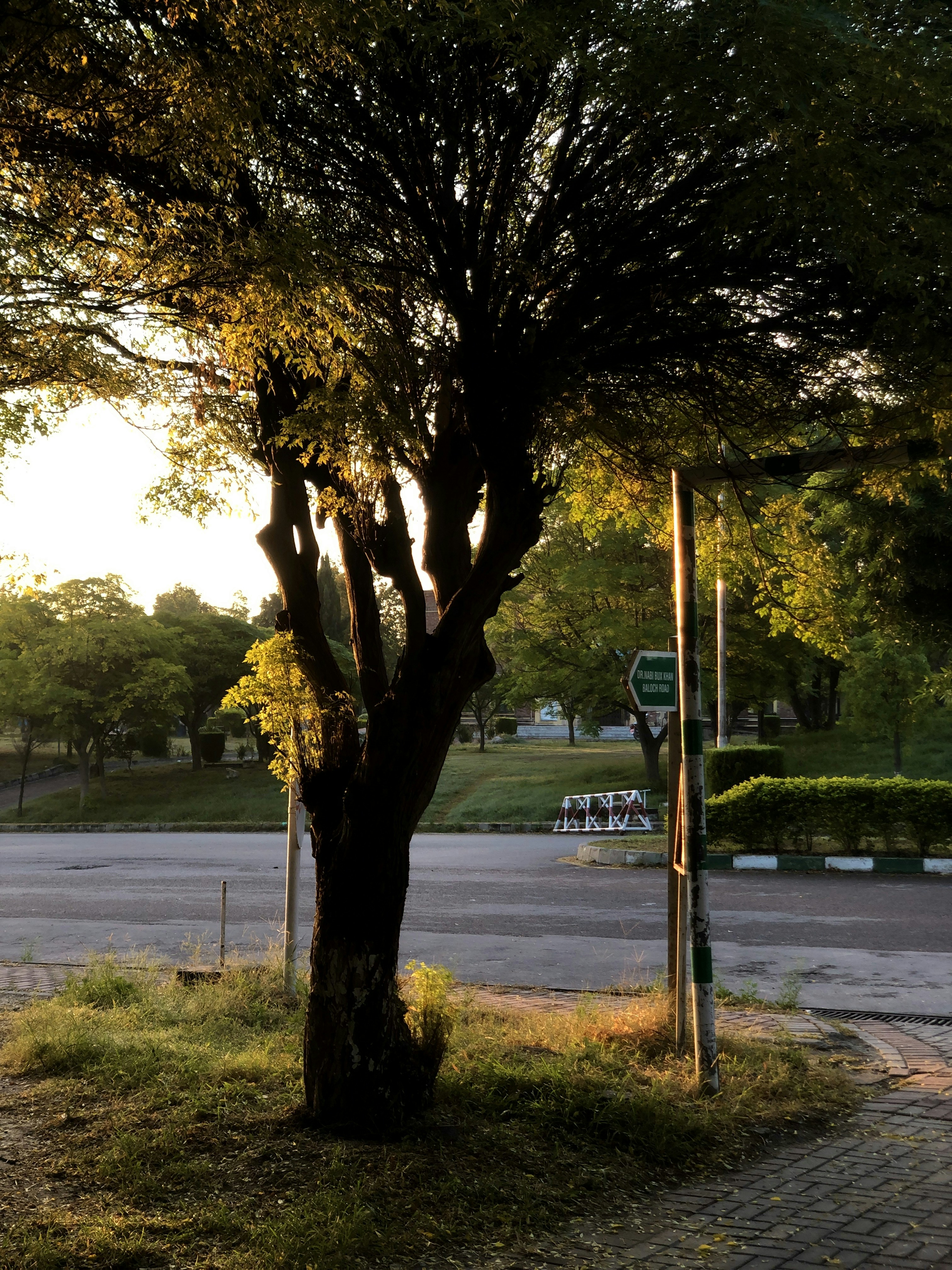 Photo by hashamshabbir98