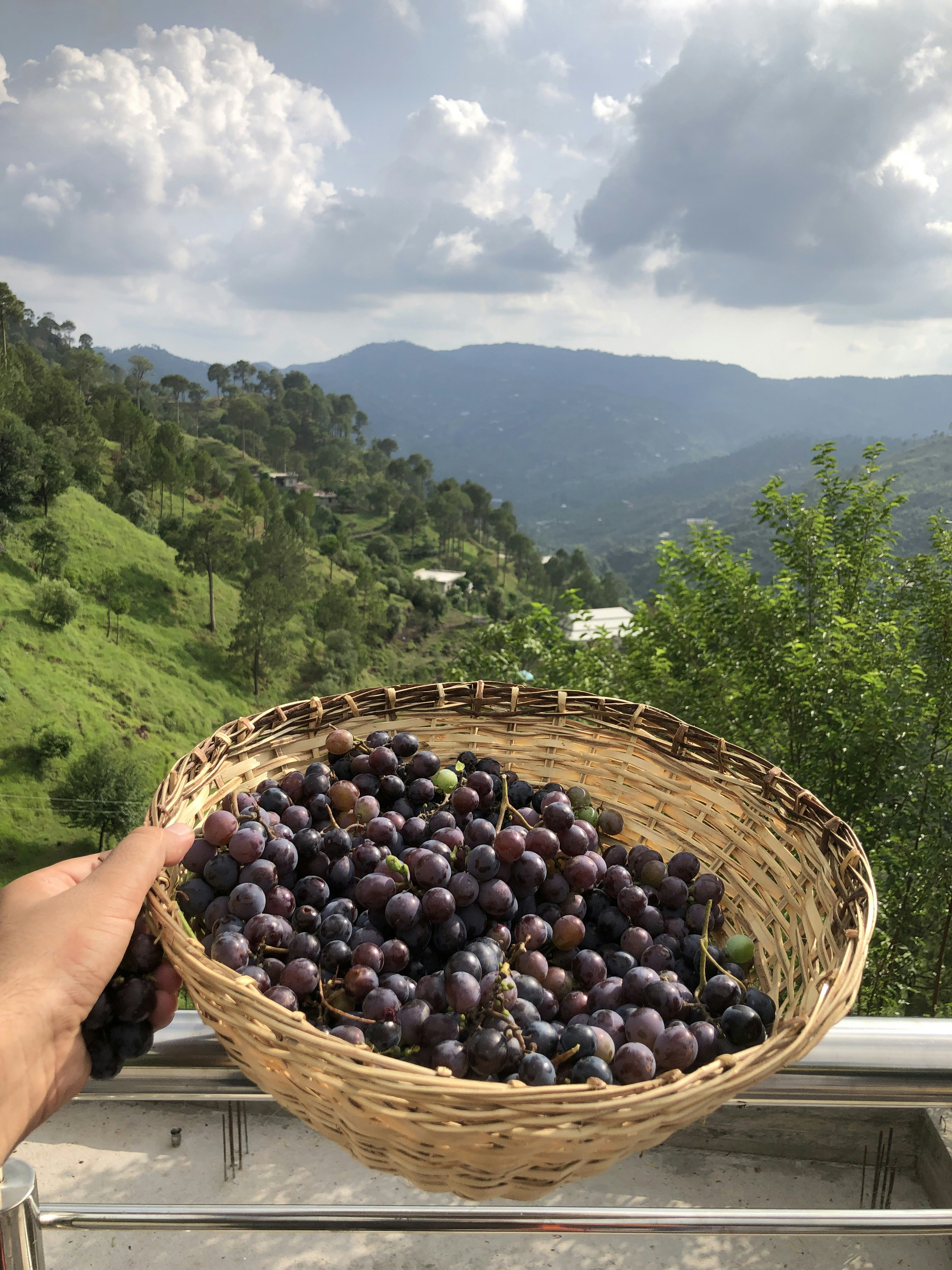 hasham shabbir (@hashamshabbir98) | Comunidade de fotos da Unsplash