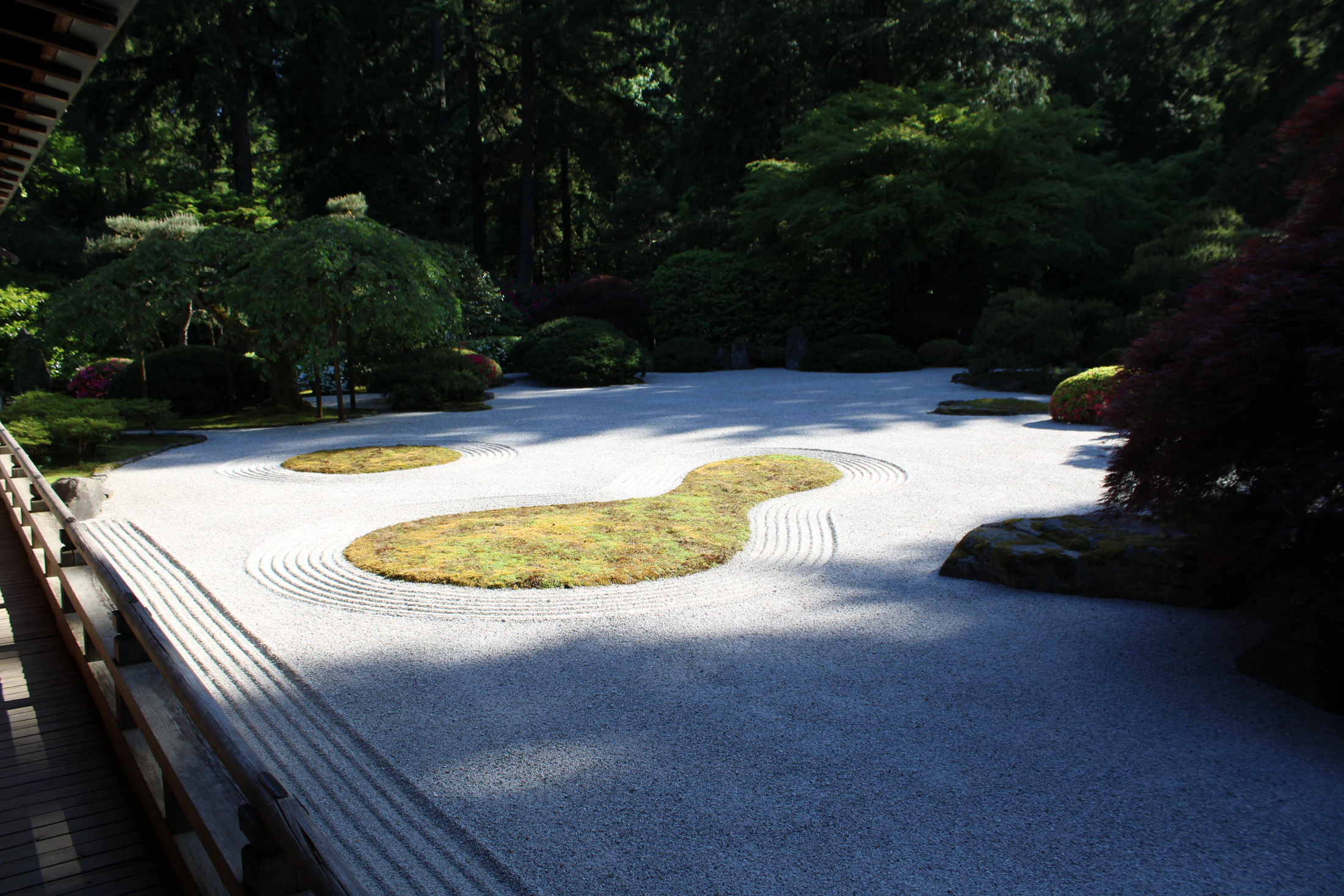 Jardin japonais de promenade vu depuis un pont, composition d'érables et de pins