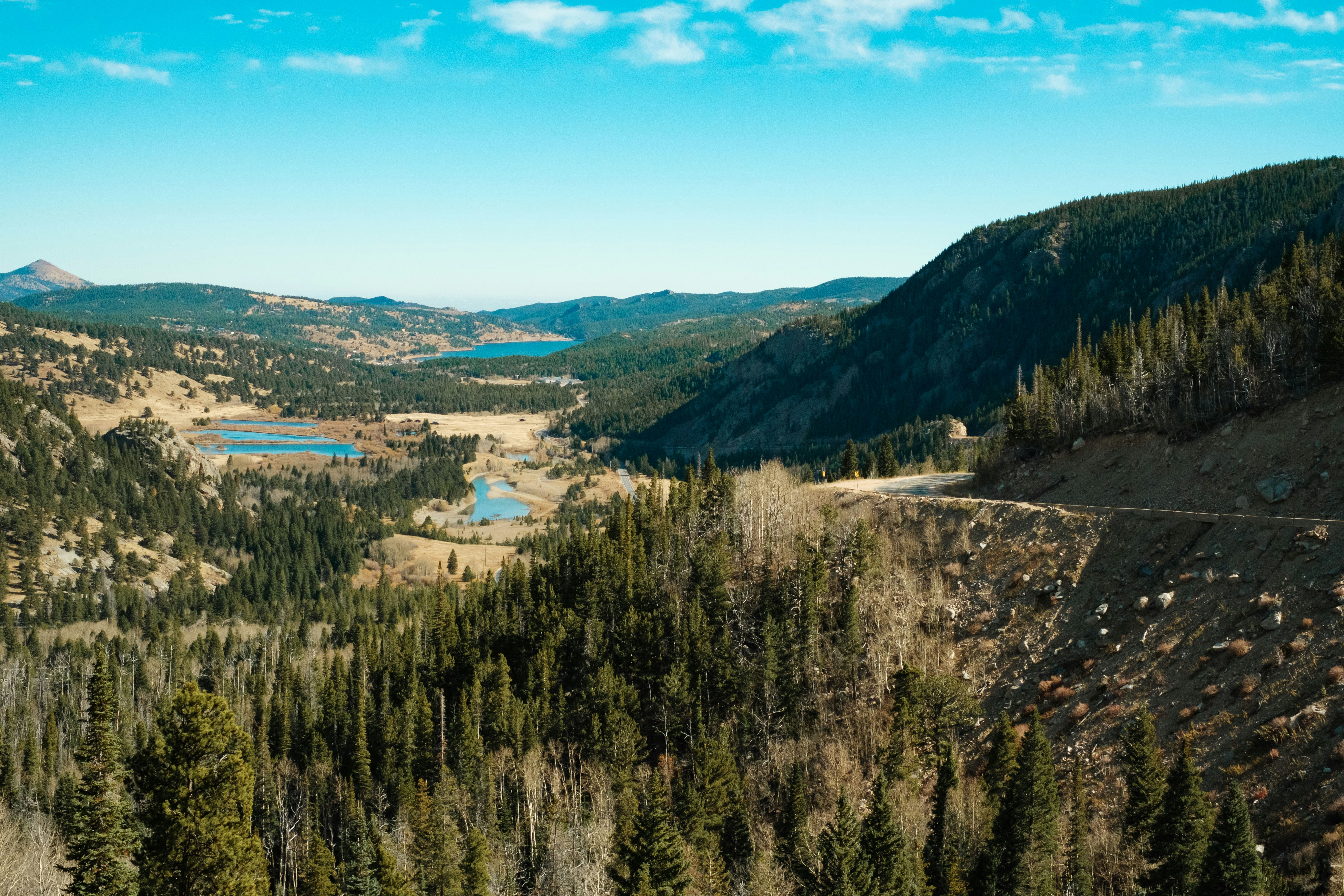 Photo by timmcerston