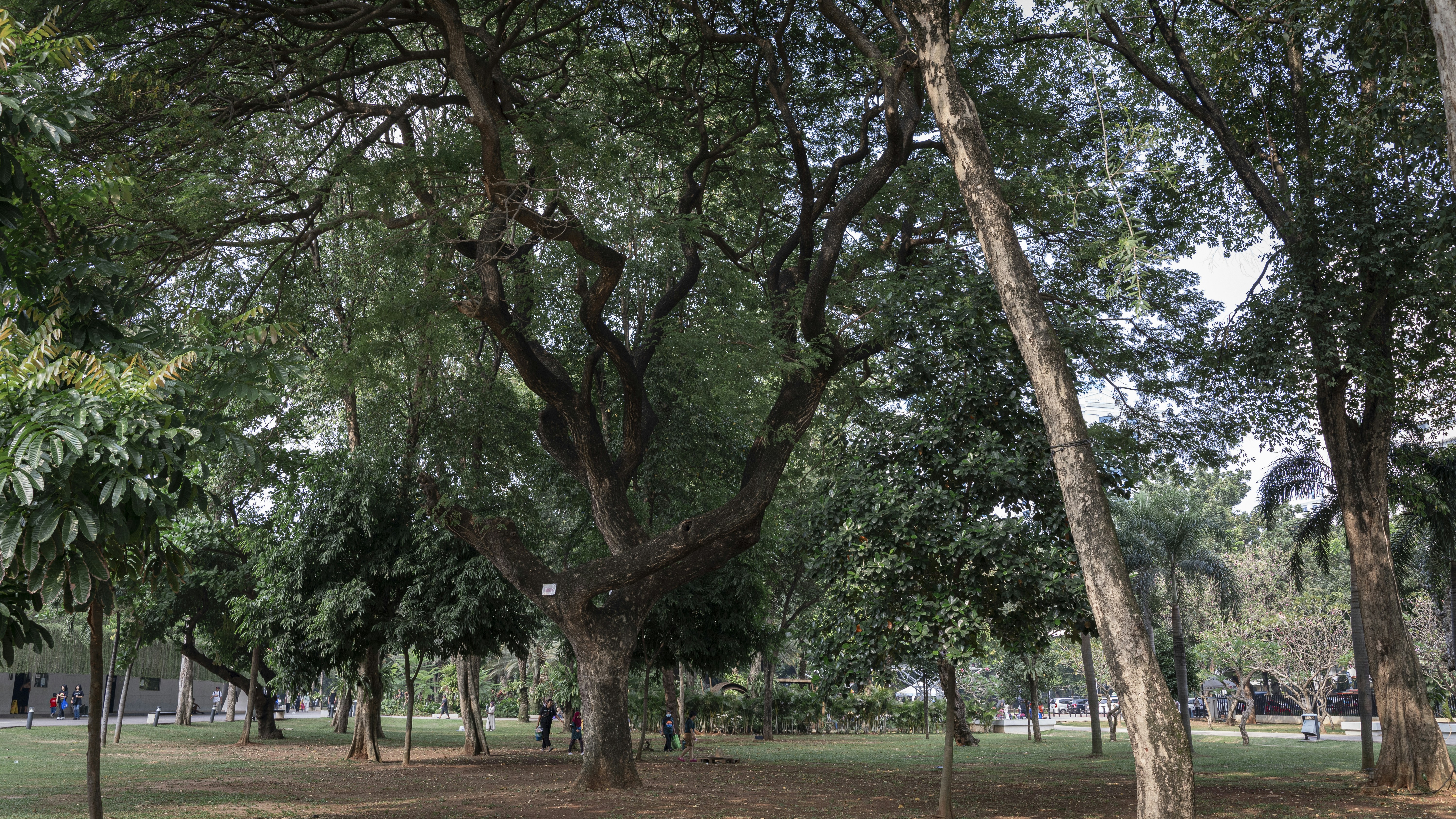 Photo by fiqihalfarish