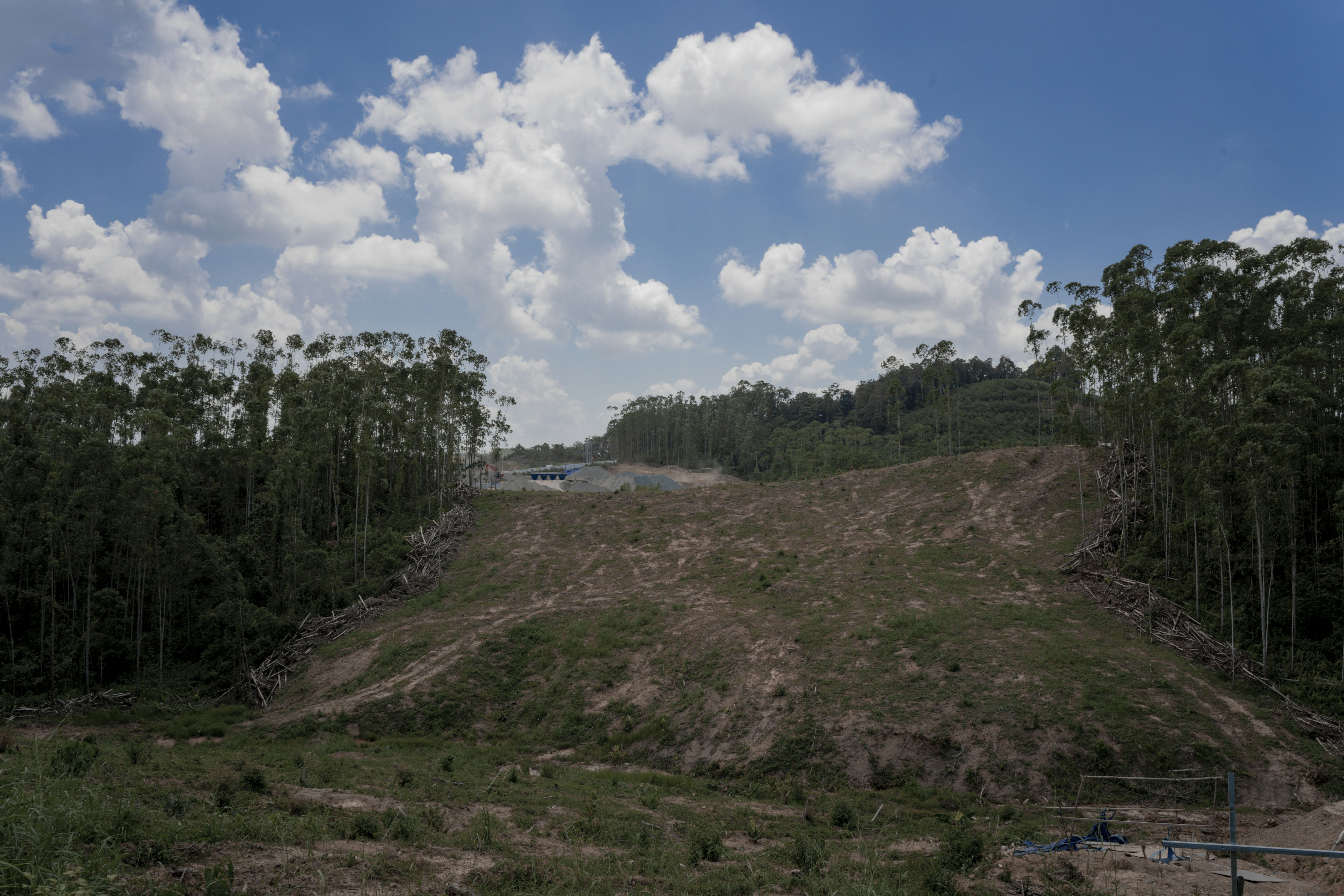 Pemindahan Ibu Kota Negara: Pembangunan Kota Inklusif dan Berkelanjutan Image