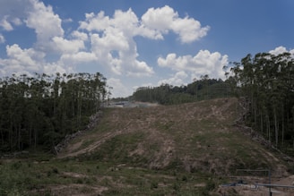 a dirt hill surrounded by trees under a cloudy blue sky
