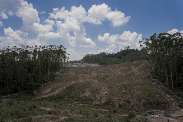 a dirt hill surrounded by trees under a cloudy blue sky
