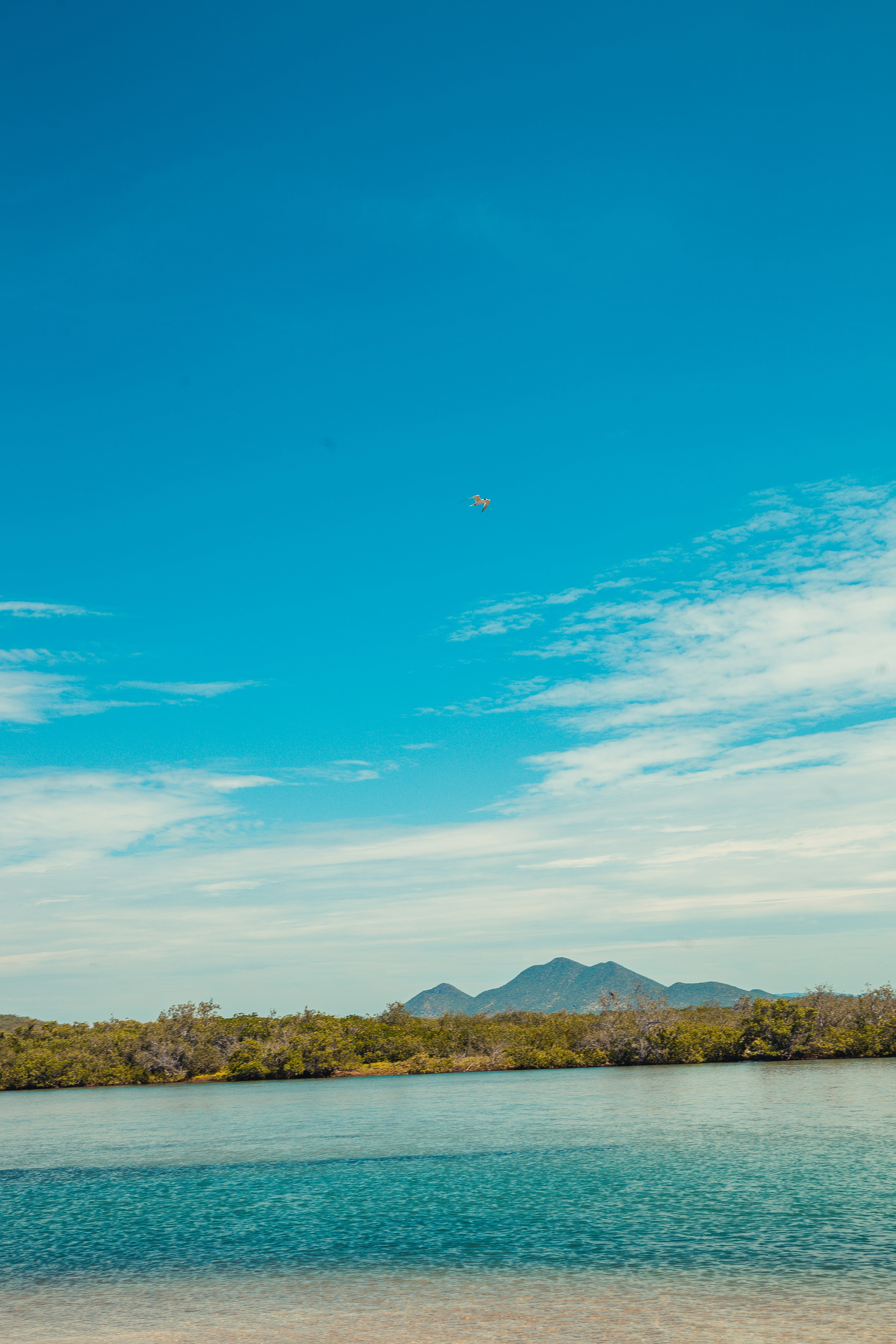 a large body of water sitting under a blue sky