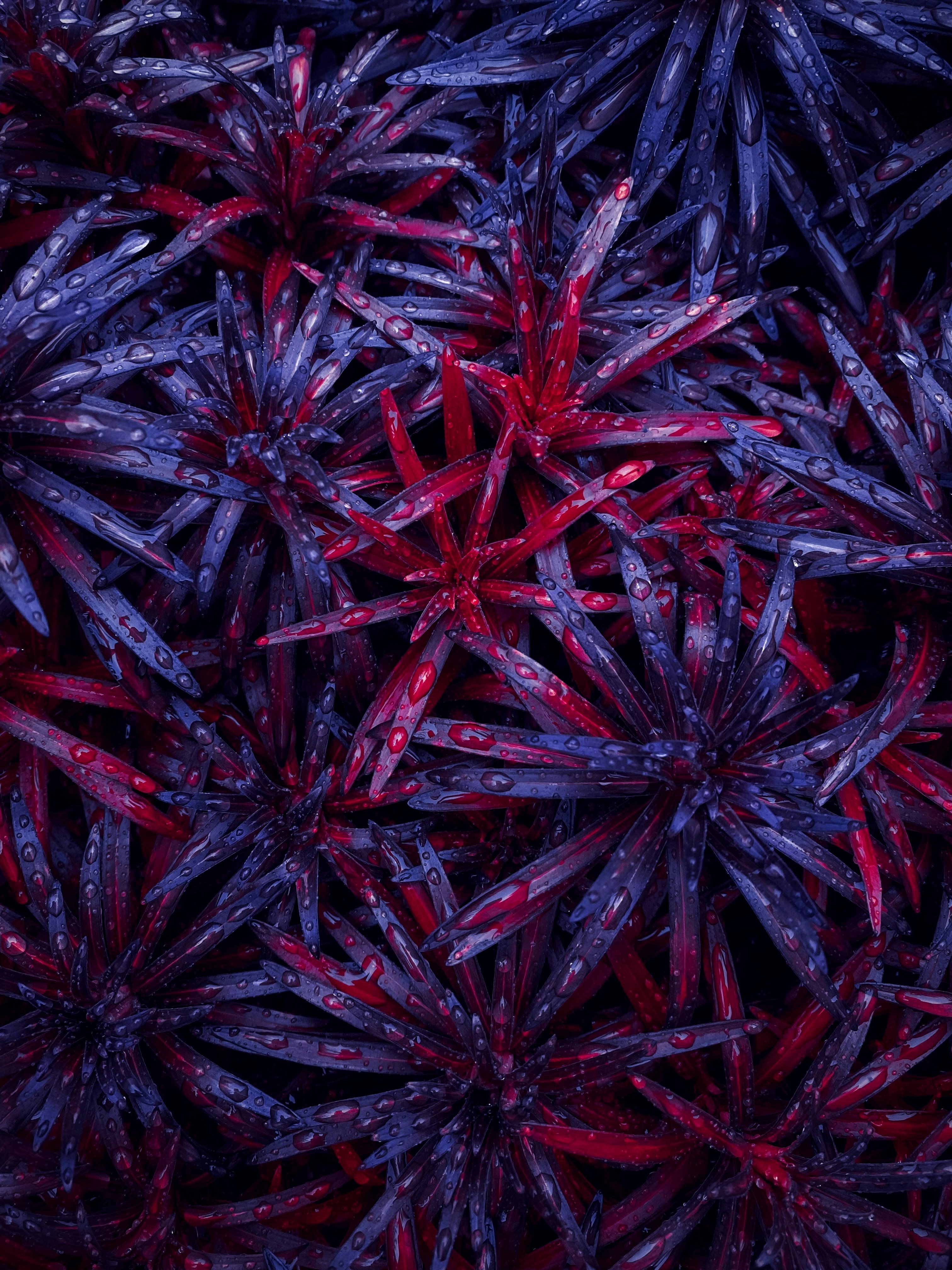 Photo by eugene_golovesov