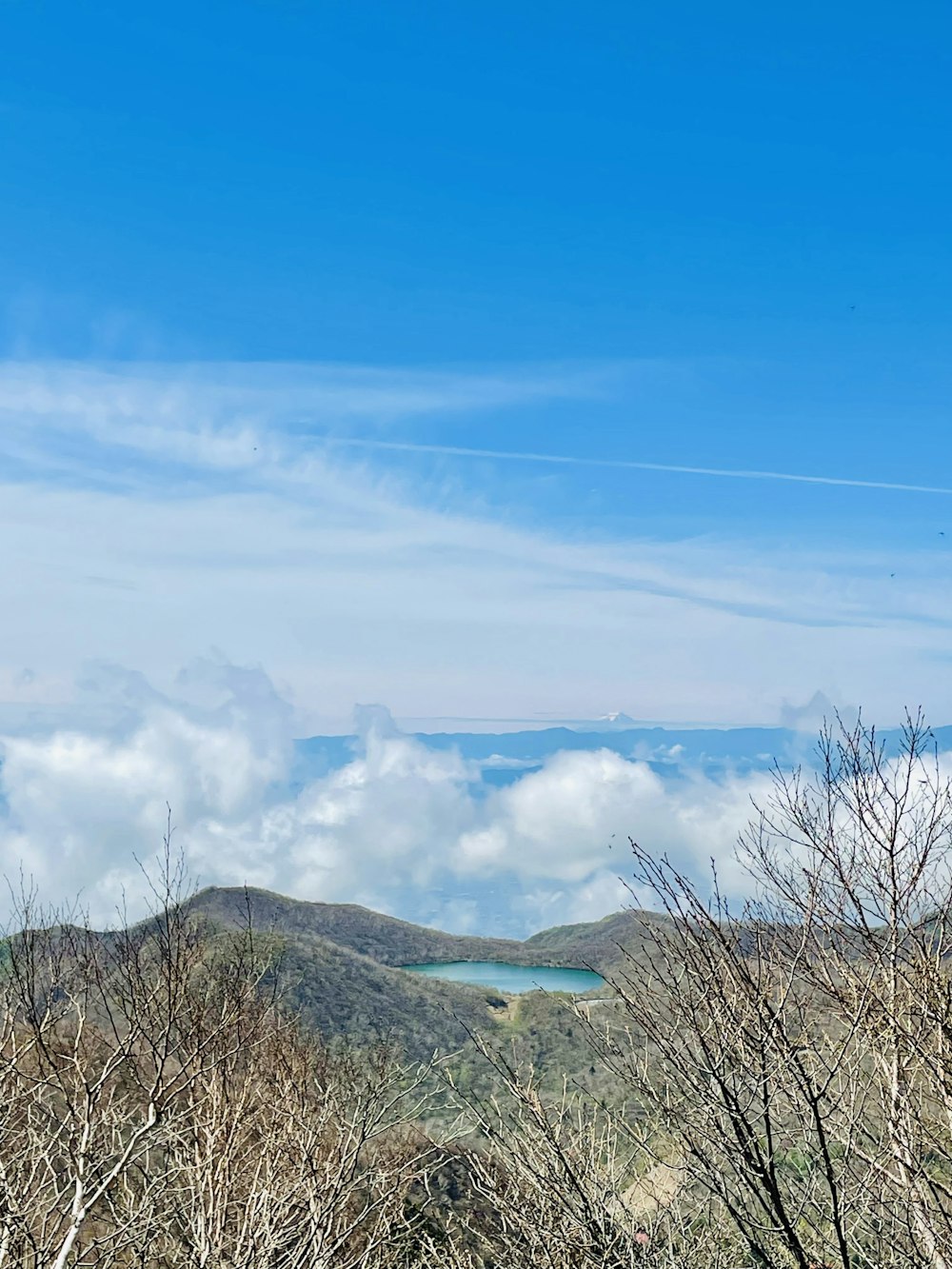 Una vista panorámica de un lago rodeado de árboles