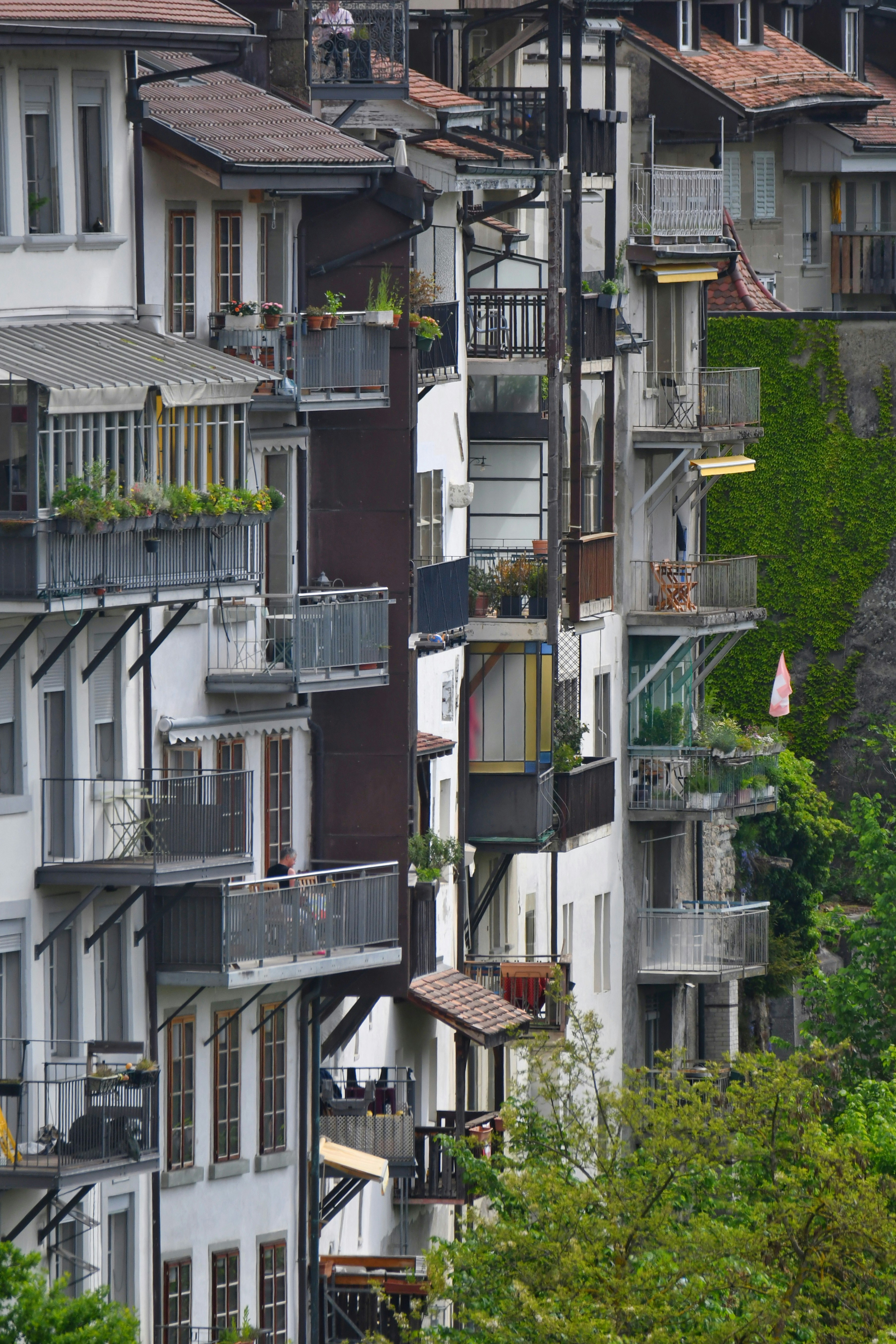 Photo by pedrino5_official