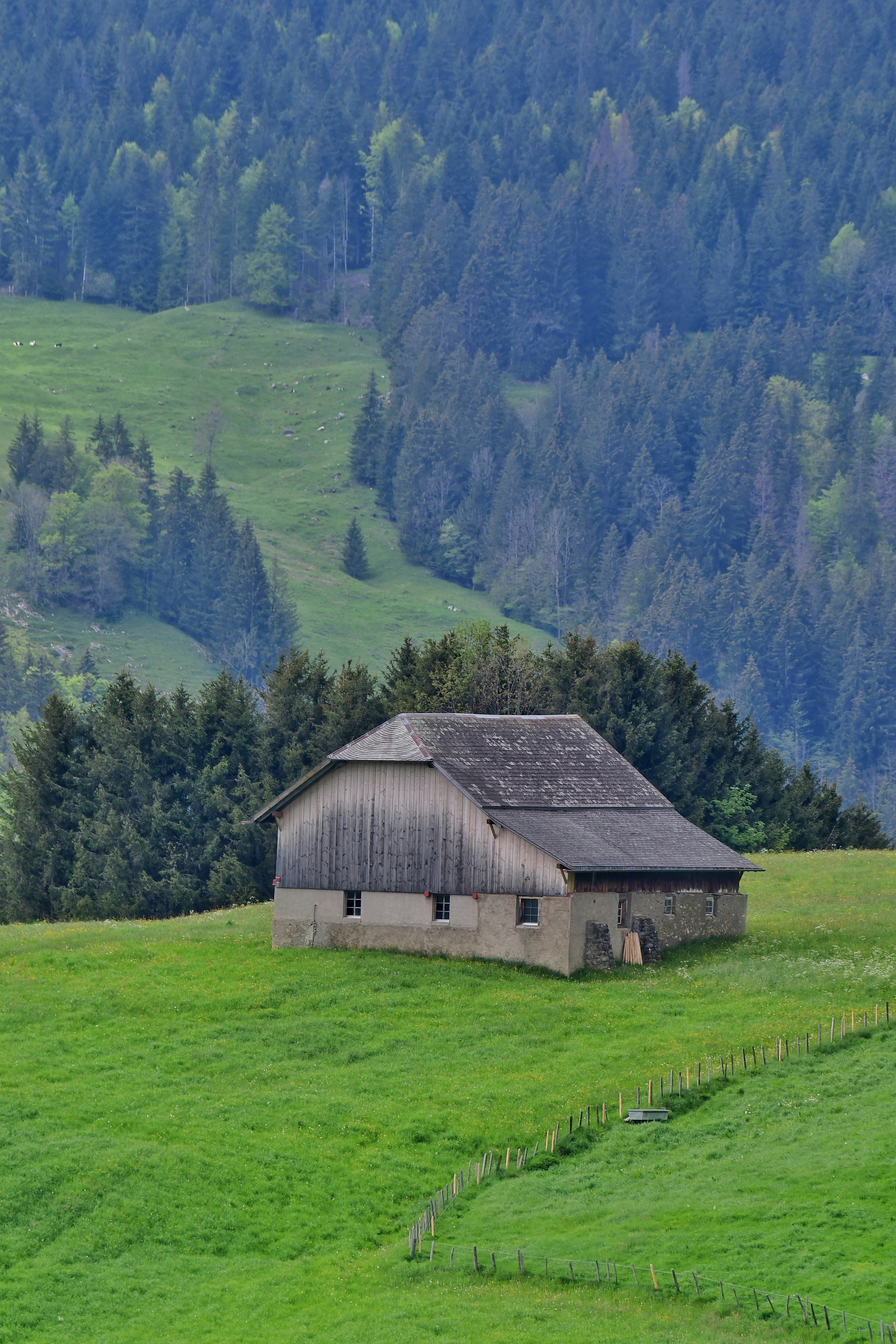 Photo by pedrino5_official