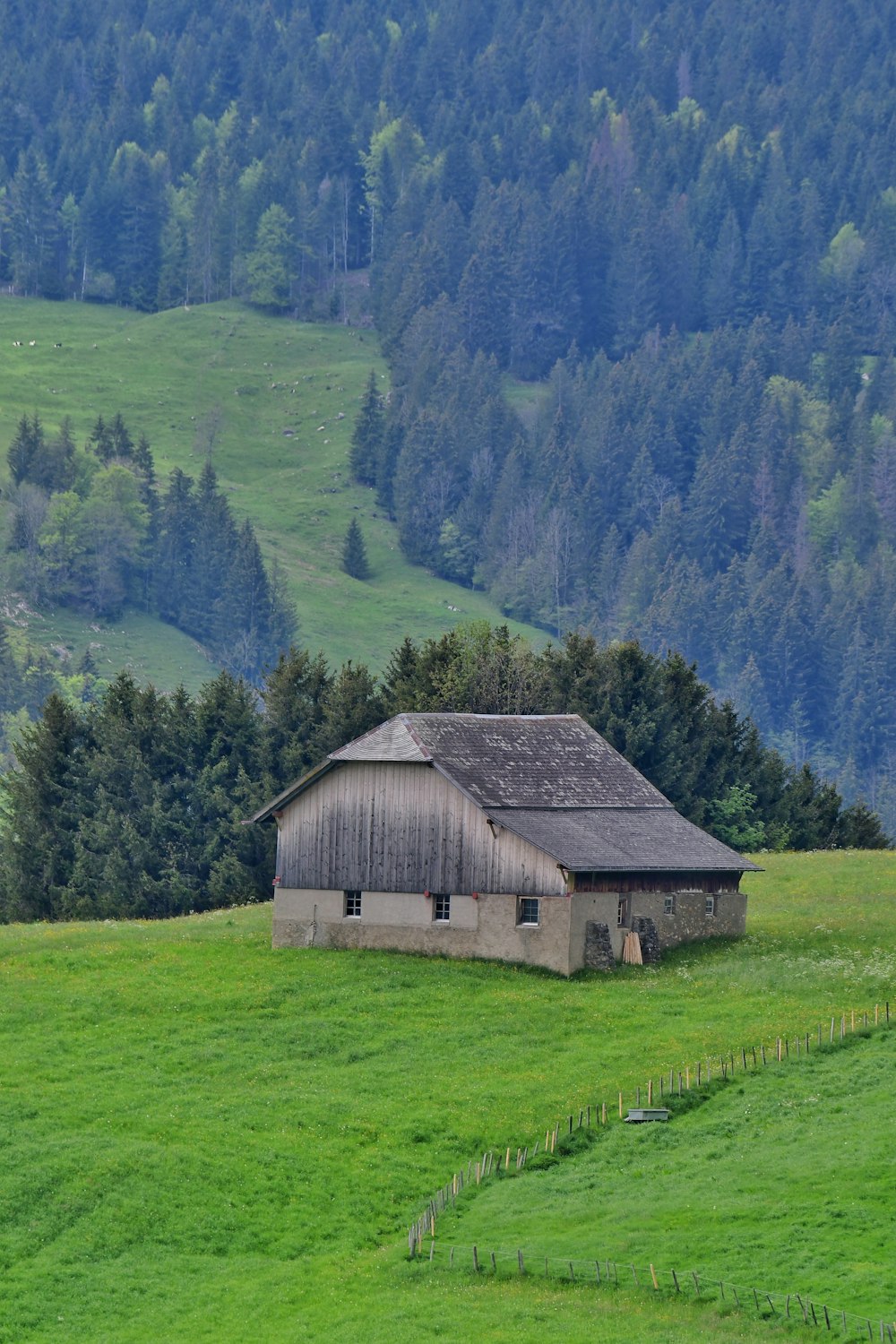 a barn in a field with a mountain in the background