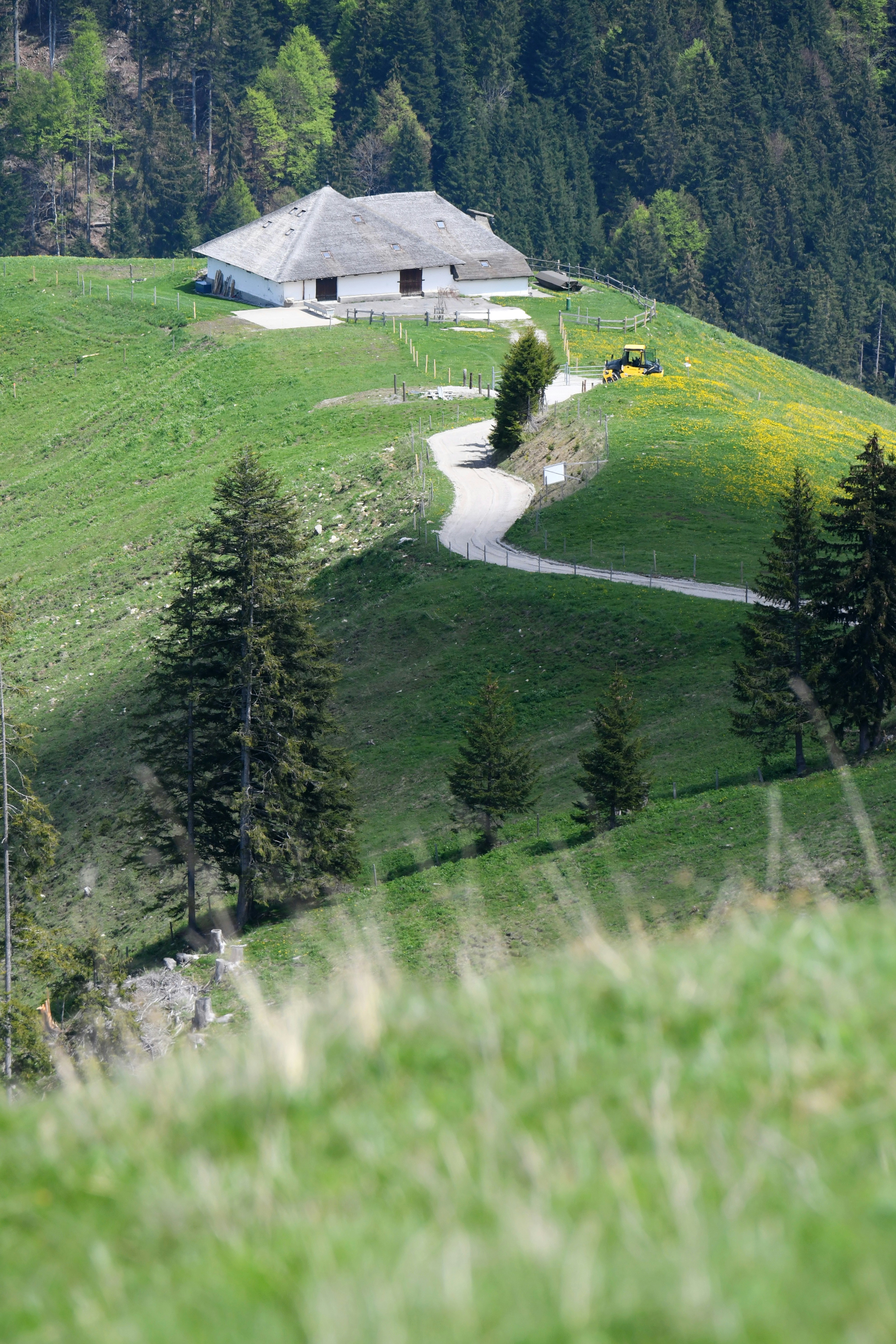 a grassy hill with a house on top of it